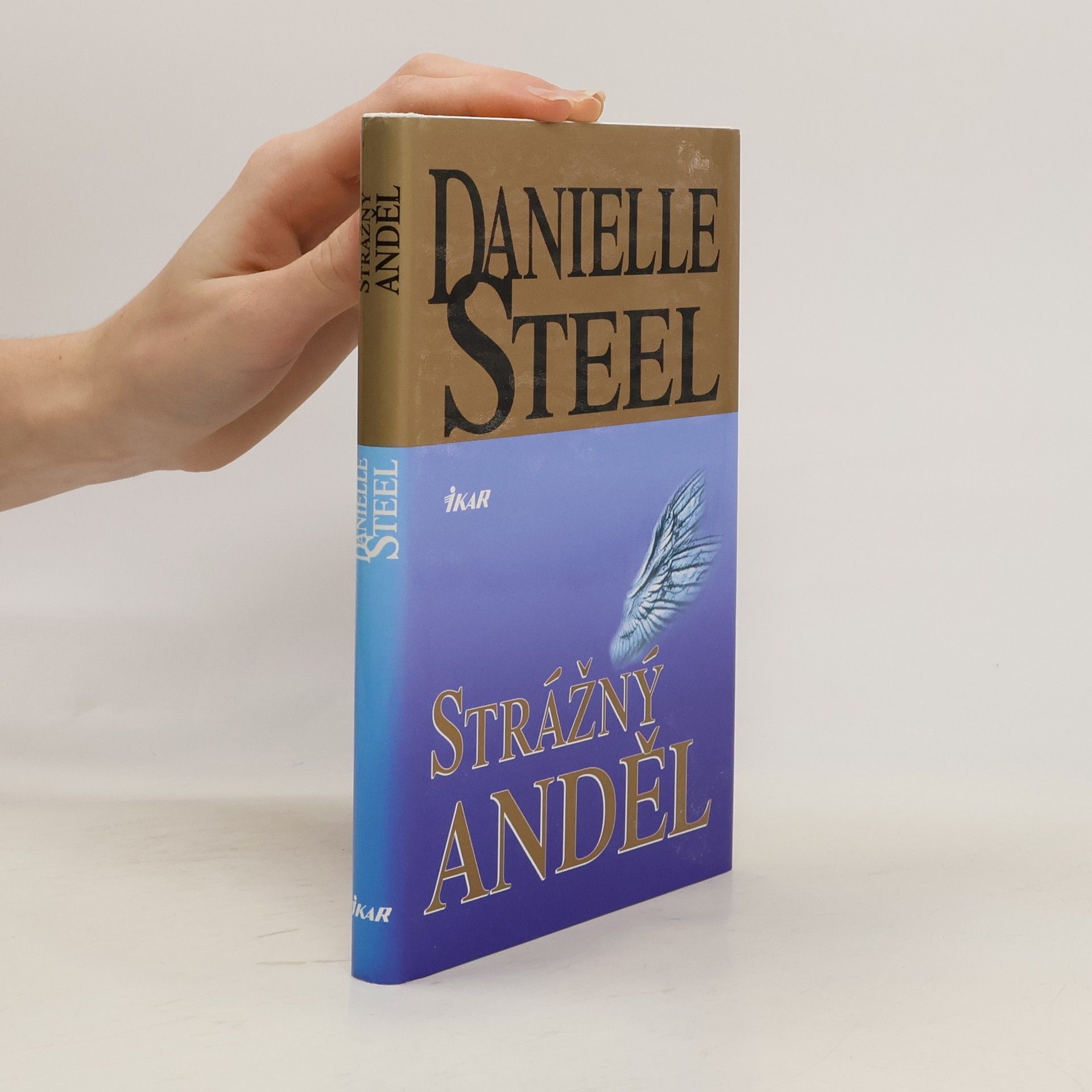 Danielle Steel Strážný anděl