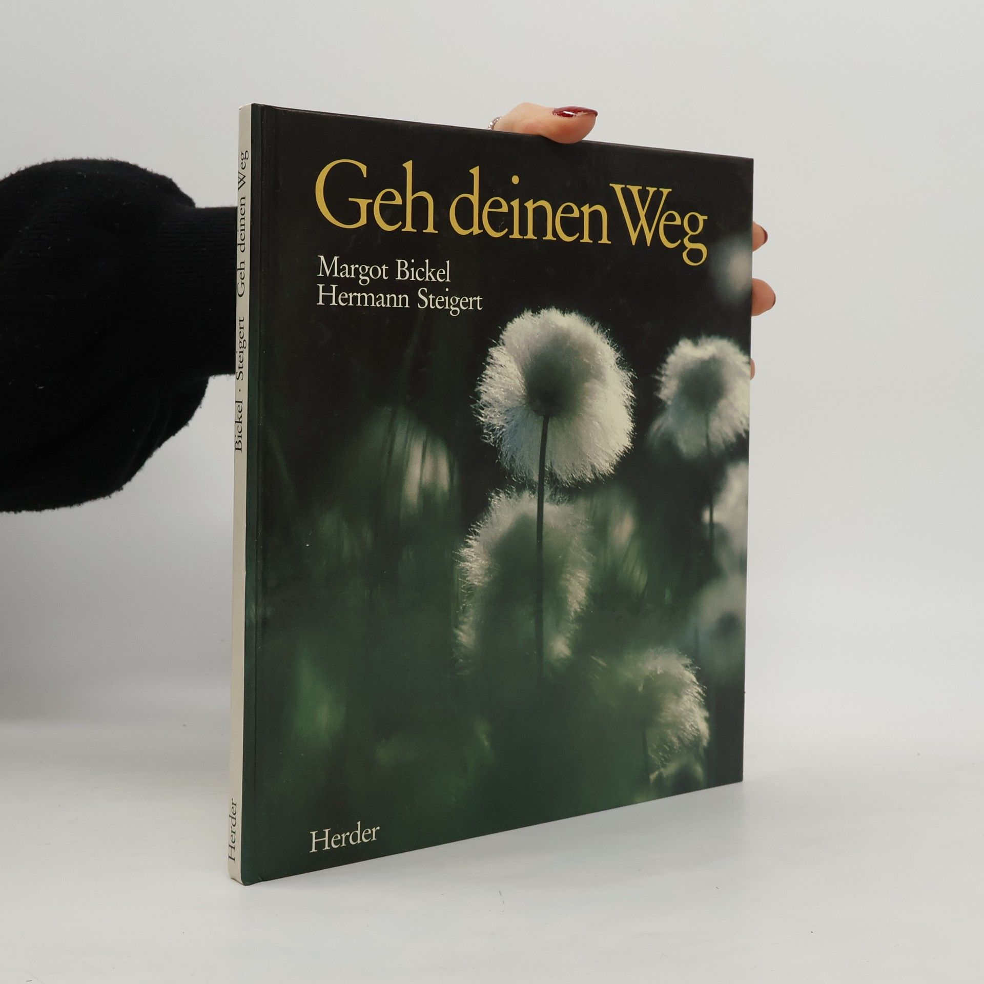 Margot Bickel Geh deinen Weg