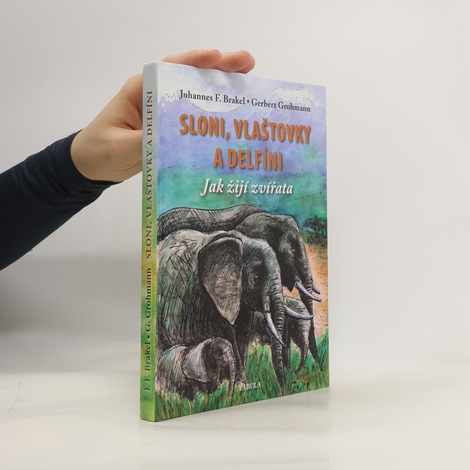 Sloni, vlaštovky a delfíni