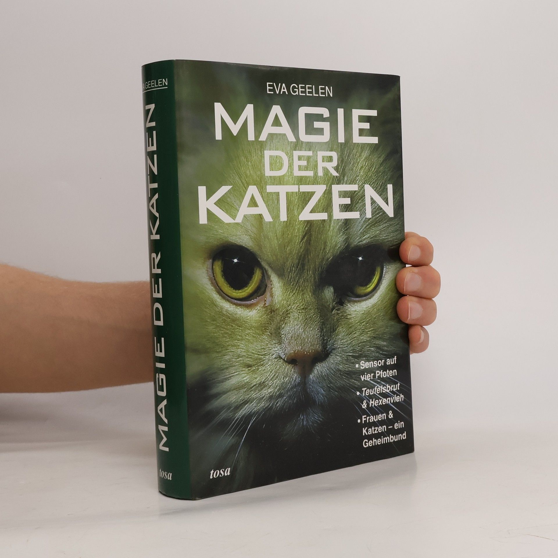 Eva Geelen Magie der Katzen