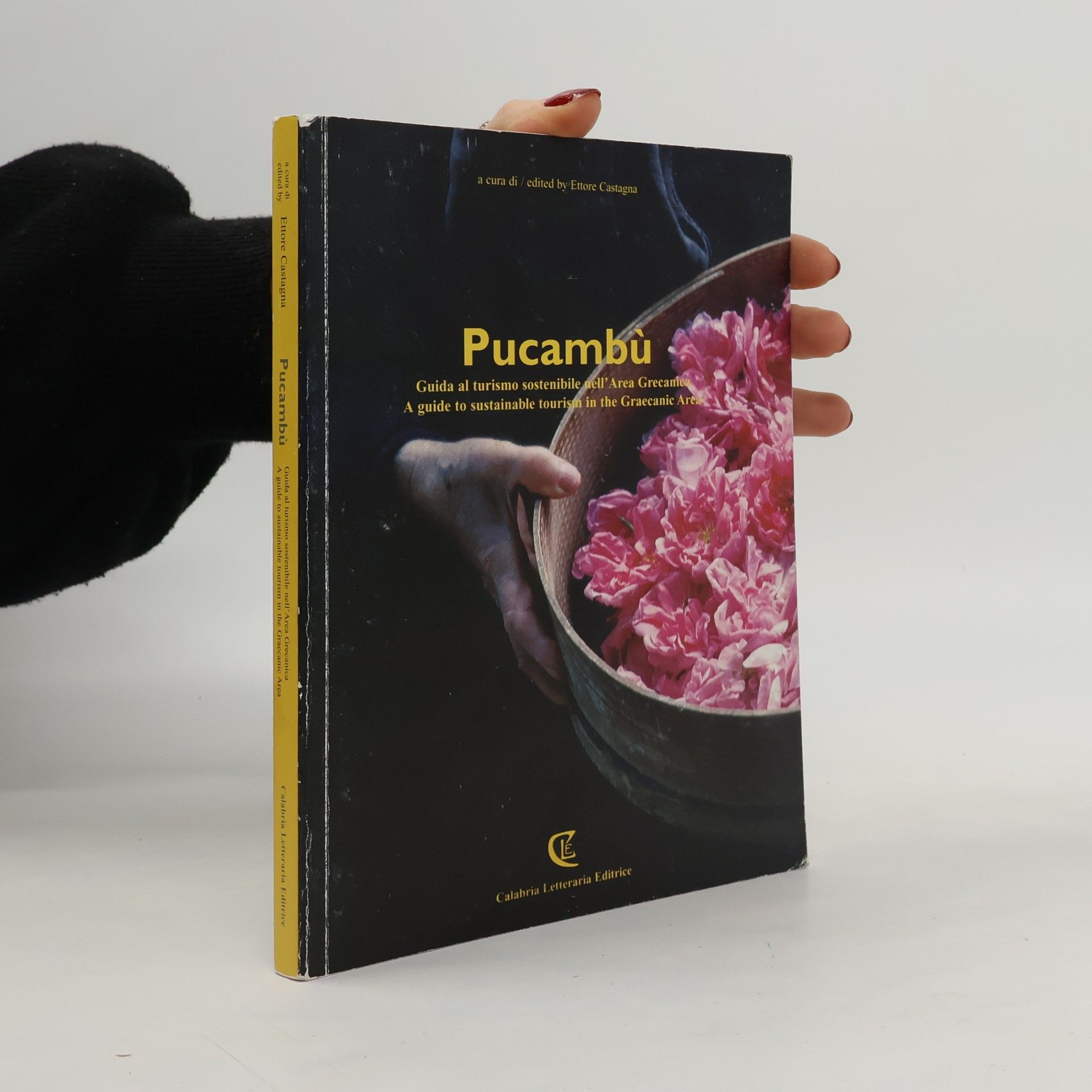 Ettore Castagna Pucambù