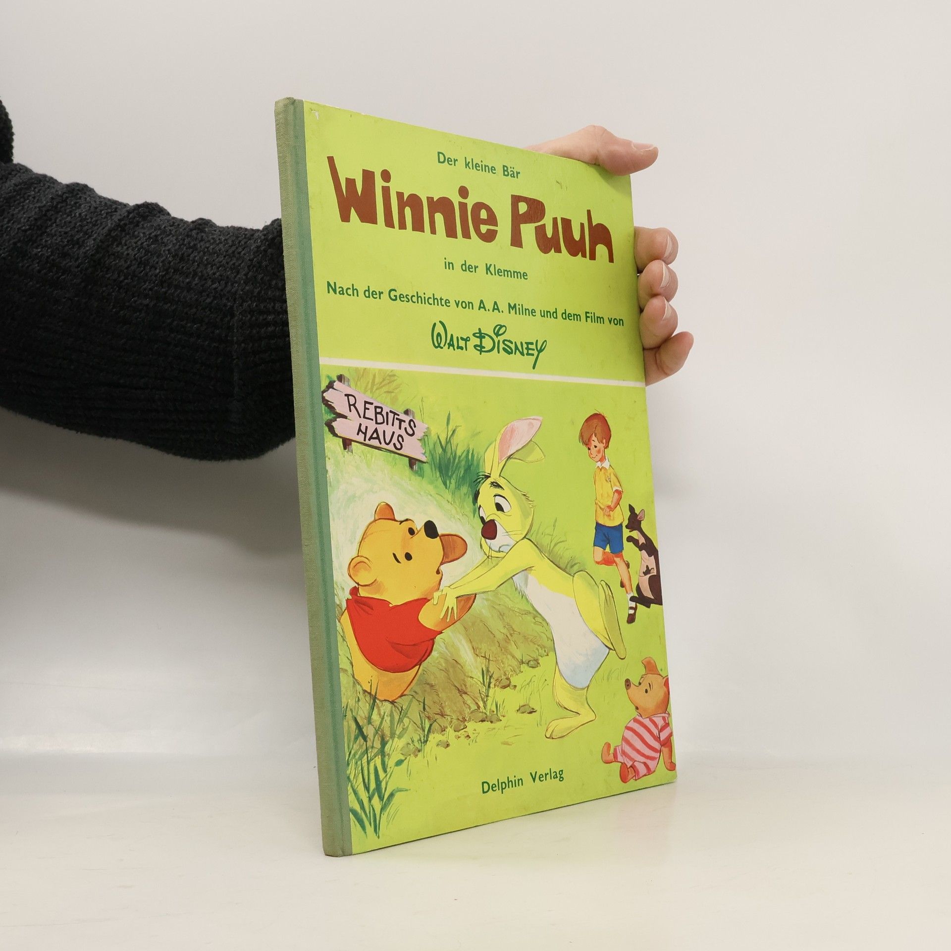 Walt Disney Der kleine Bär Winnie Puuh in der Klemme