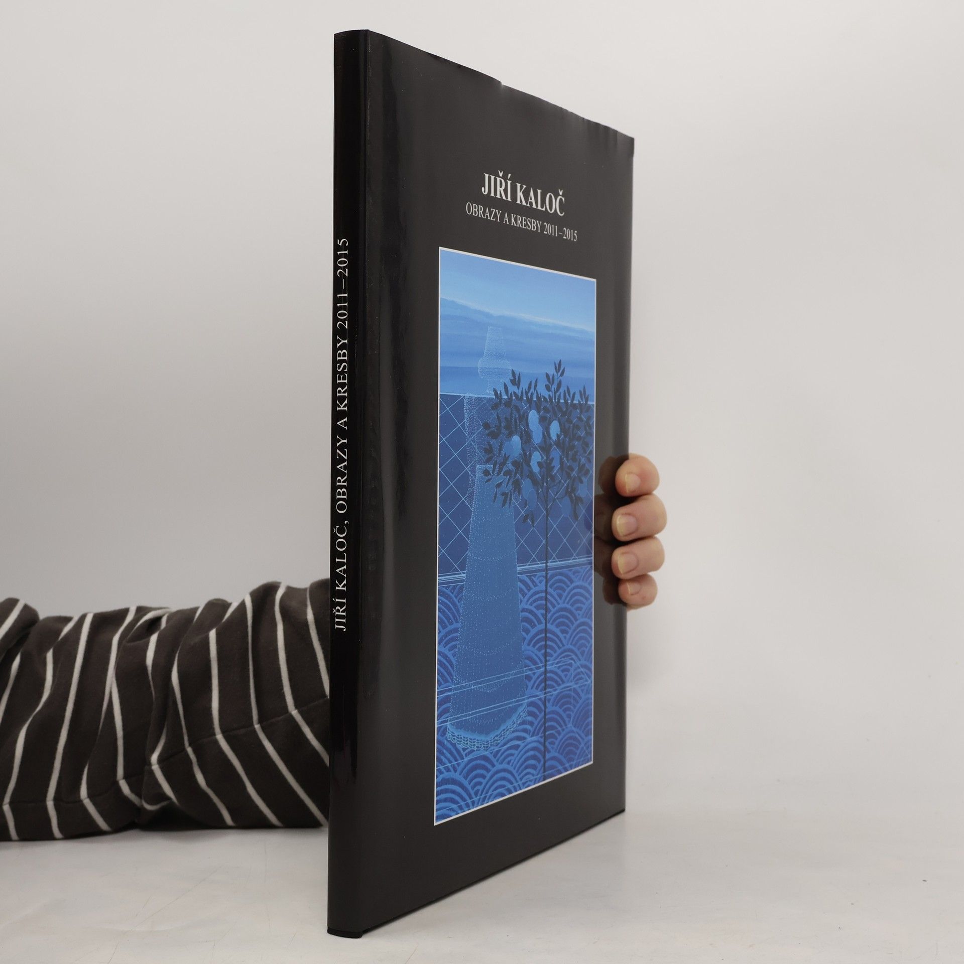 Obrazy a kresby 2011 - 2015