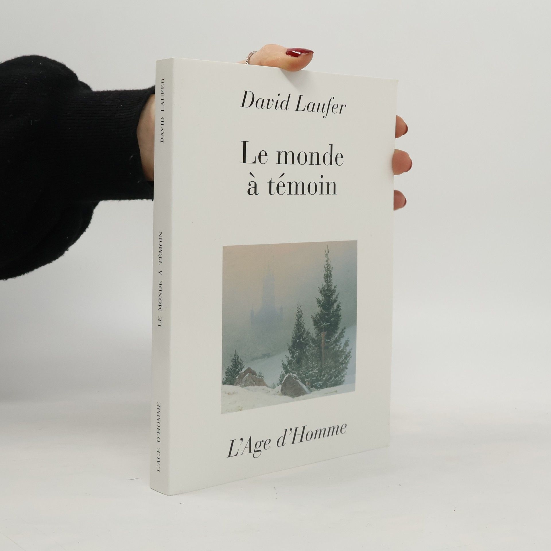 David Laufer Le monde à témoin