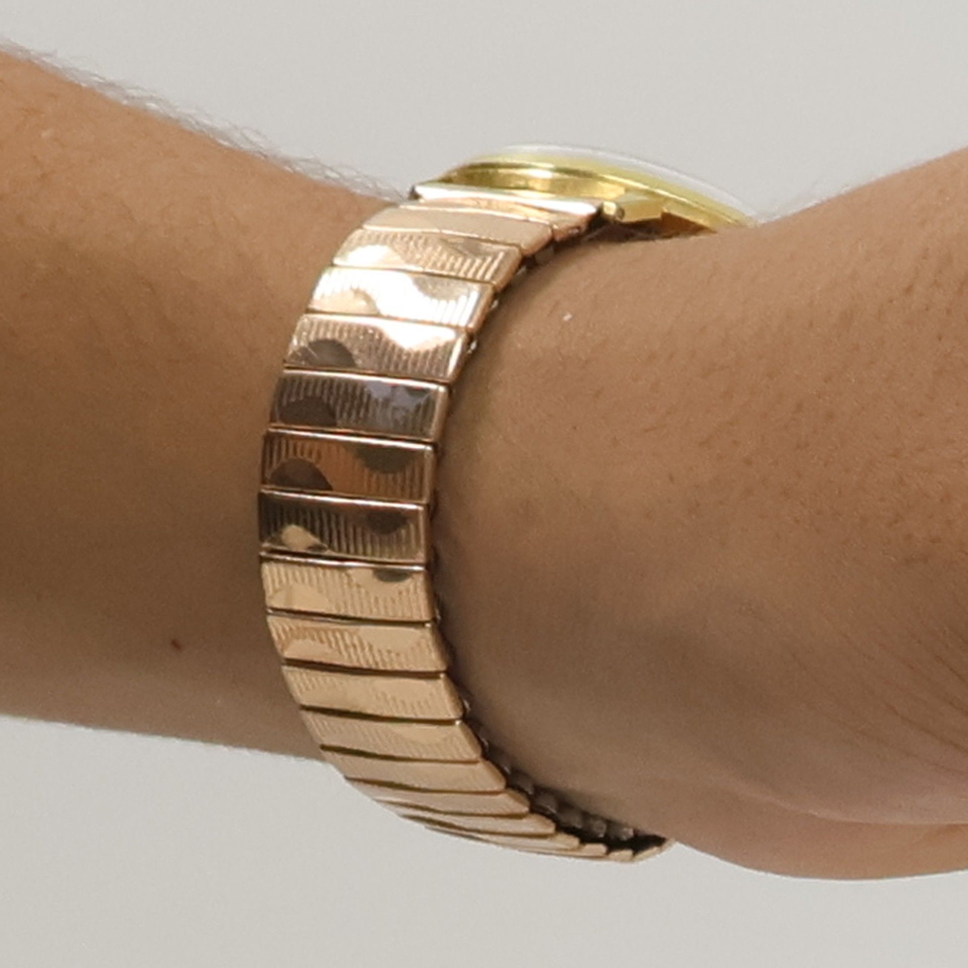 Sigrid Damm Cornelia Goethe