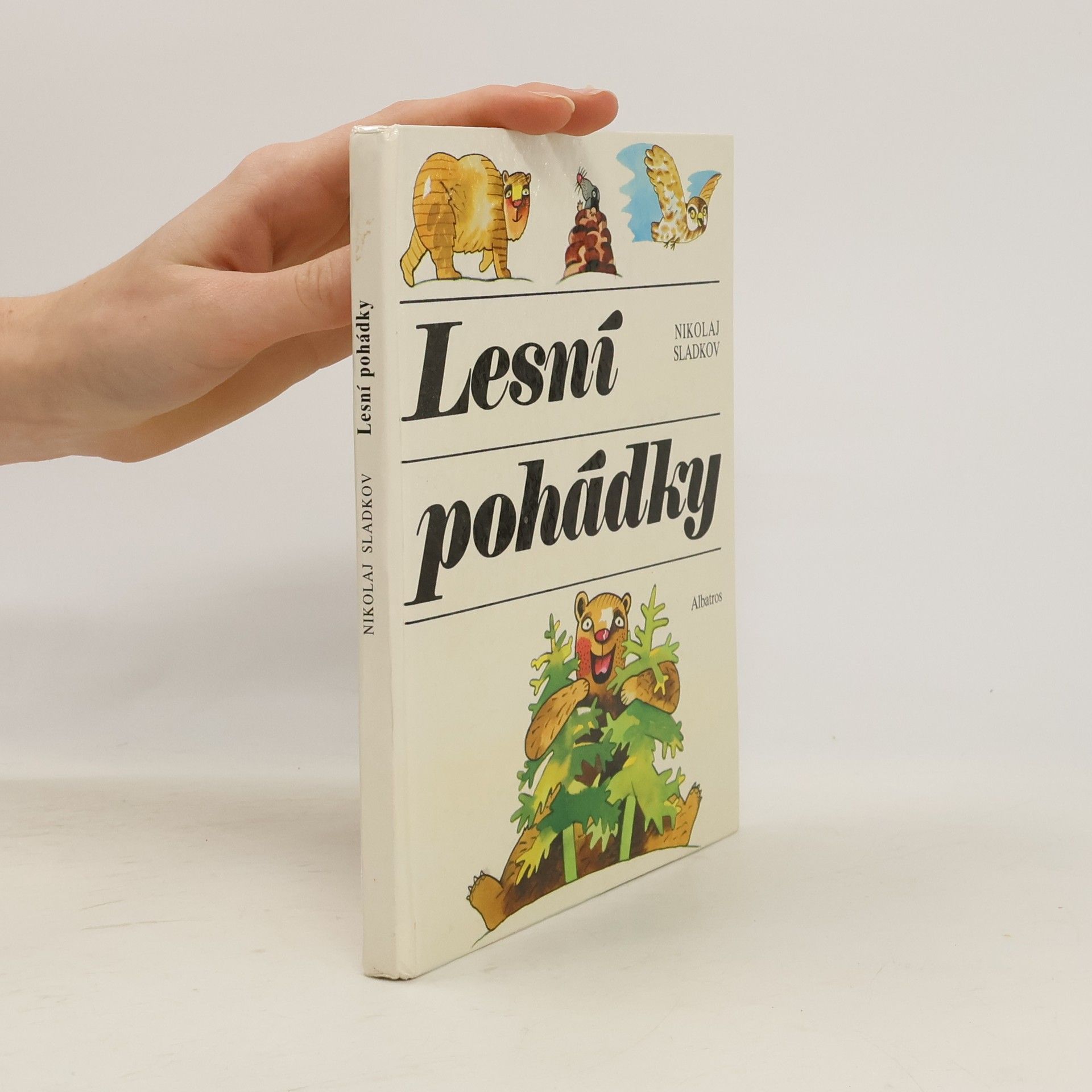 Lesní pohádky. Rok v severském lese