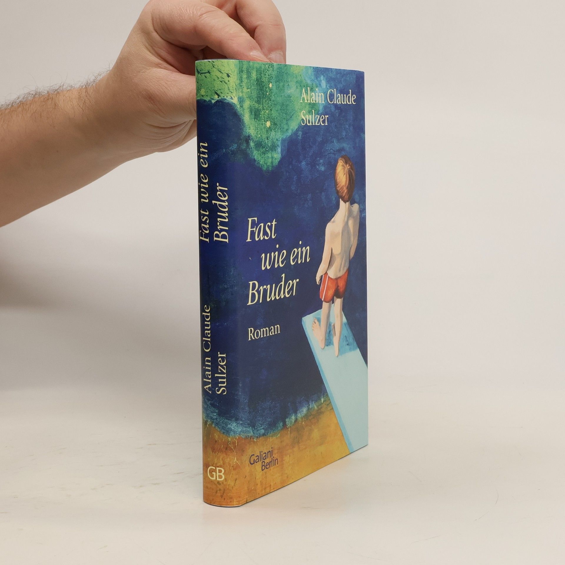 Alain Claude Sulzer Fast wie ein Bruder