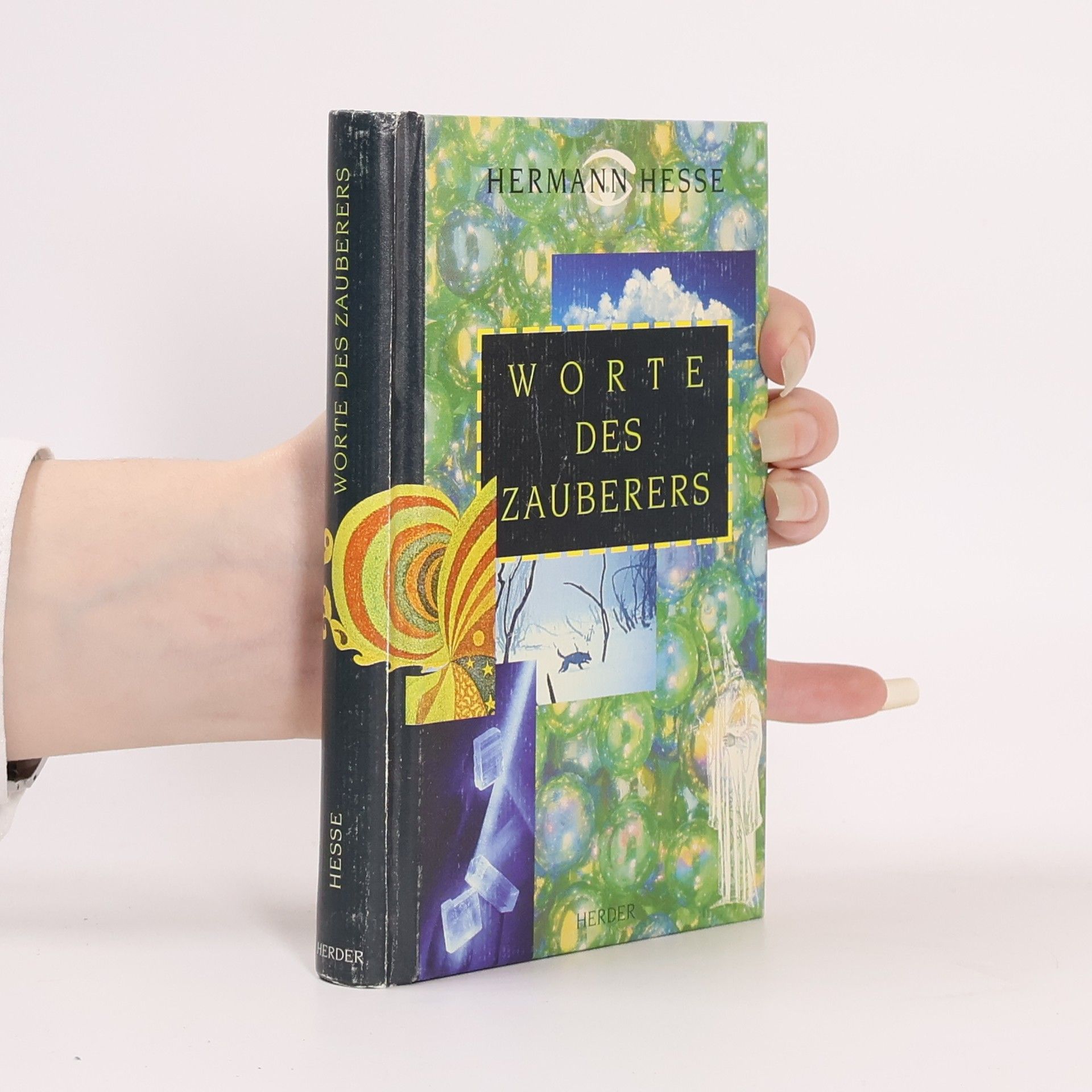 Hermann Hesse Worte des Zauberers