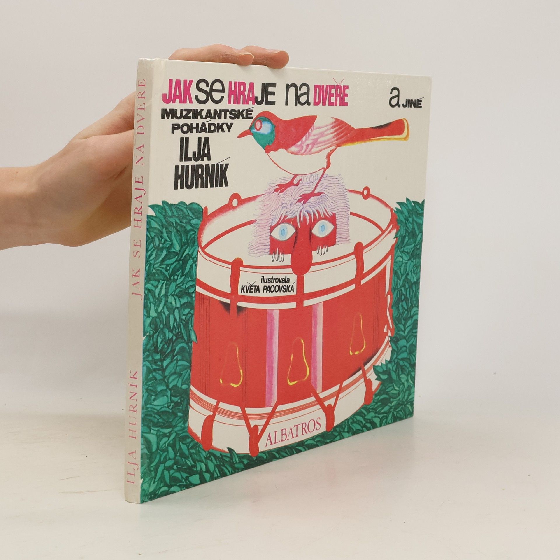 Jak se hraje na dveře a jiné muzikantské pohádky