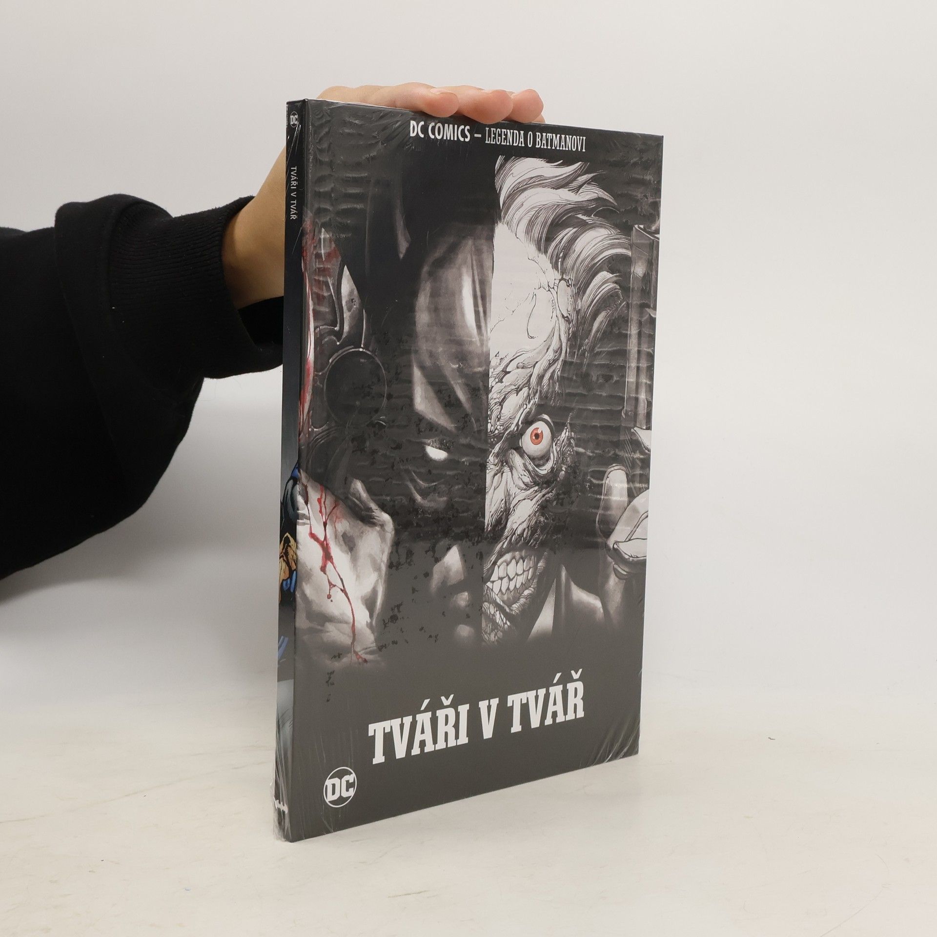 Collectif d'auteurs Tváři v tvář