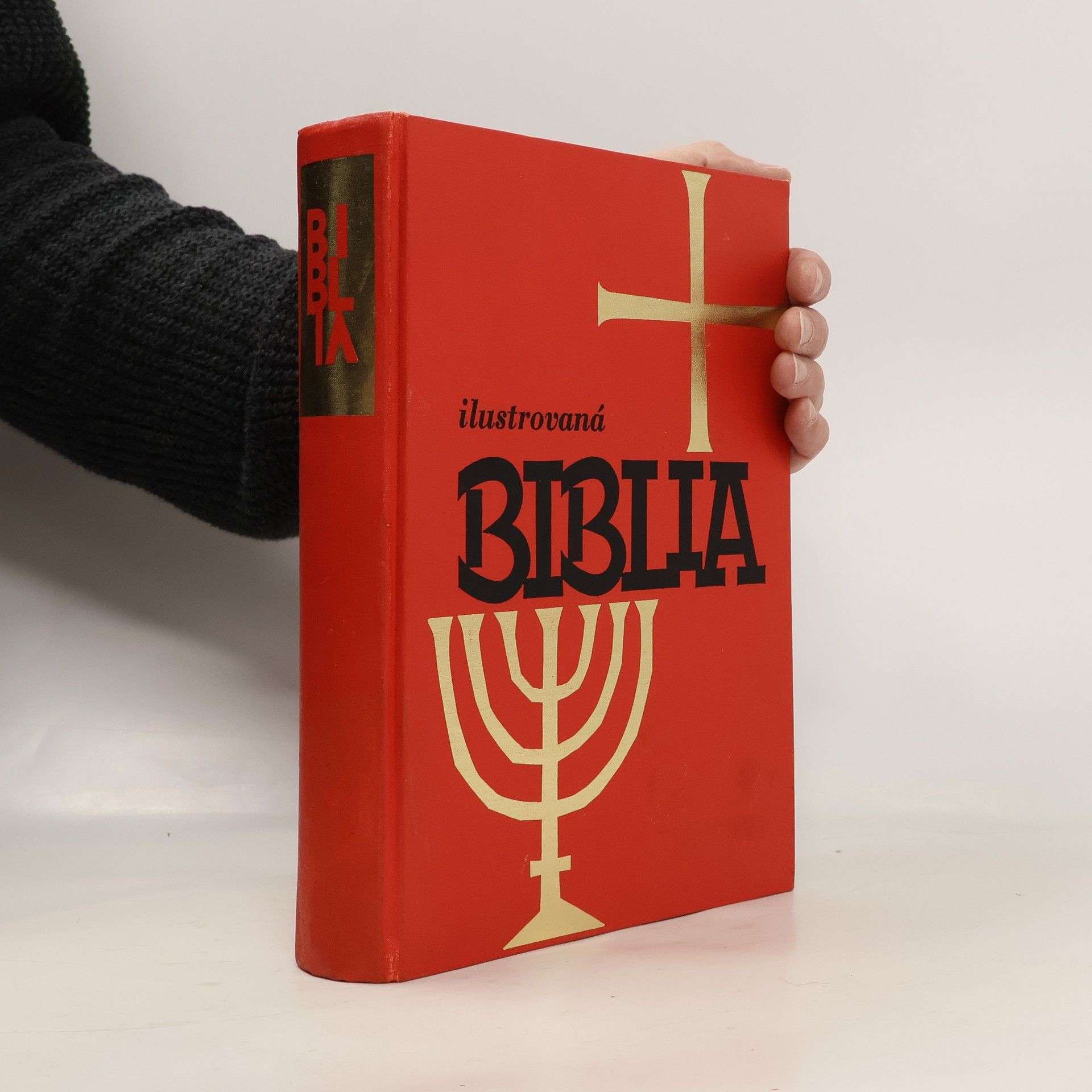 Autorenkollektiv Ilustrovaná Biblia