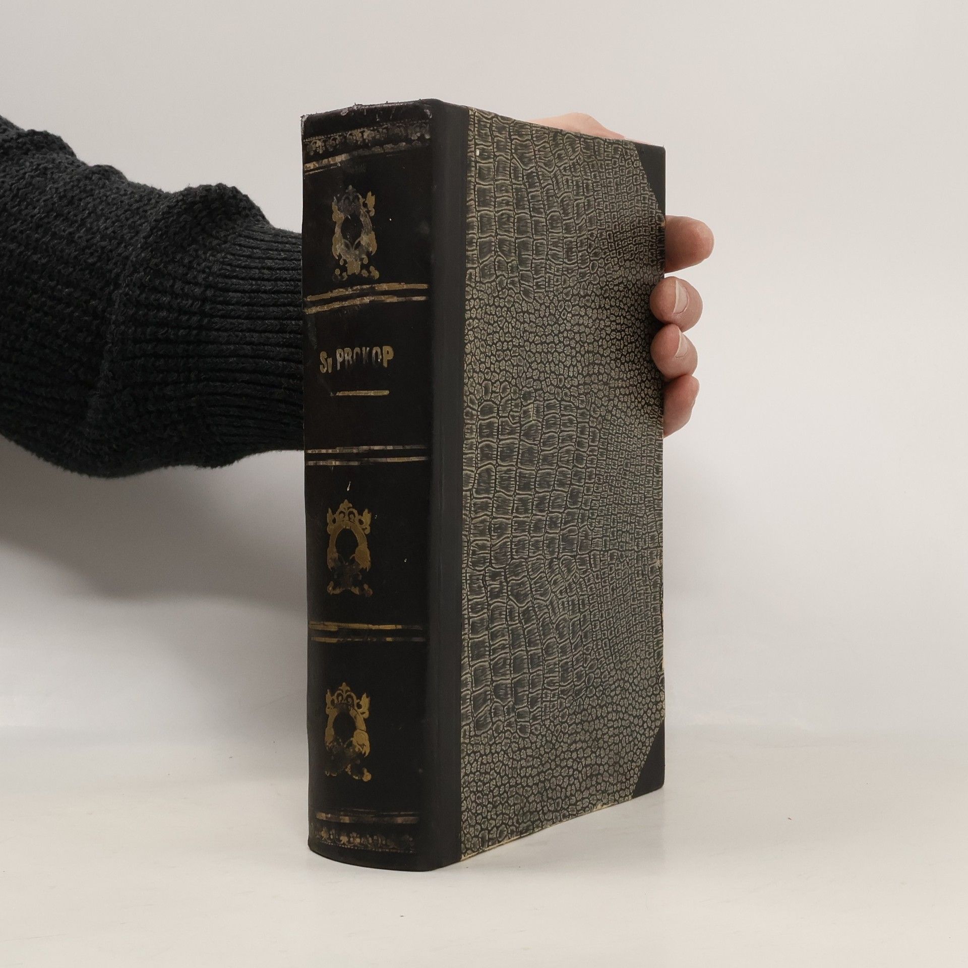 František Krásl Sv. Prokop