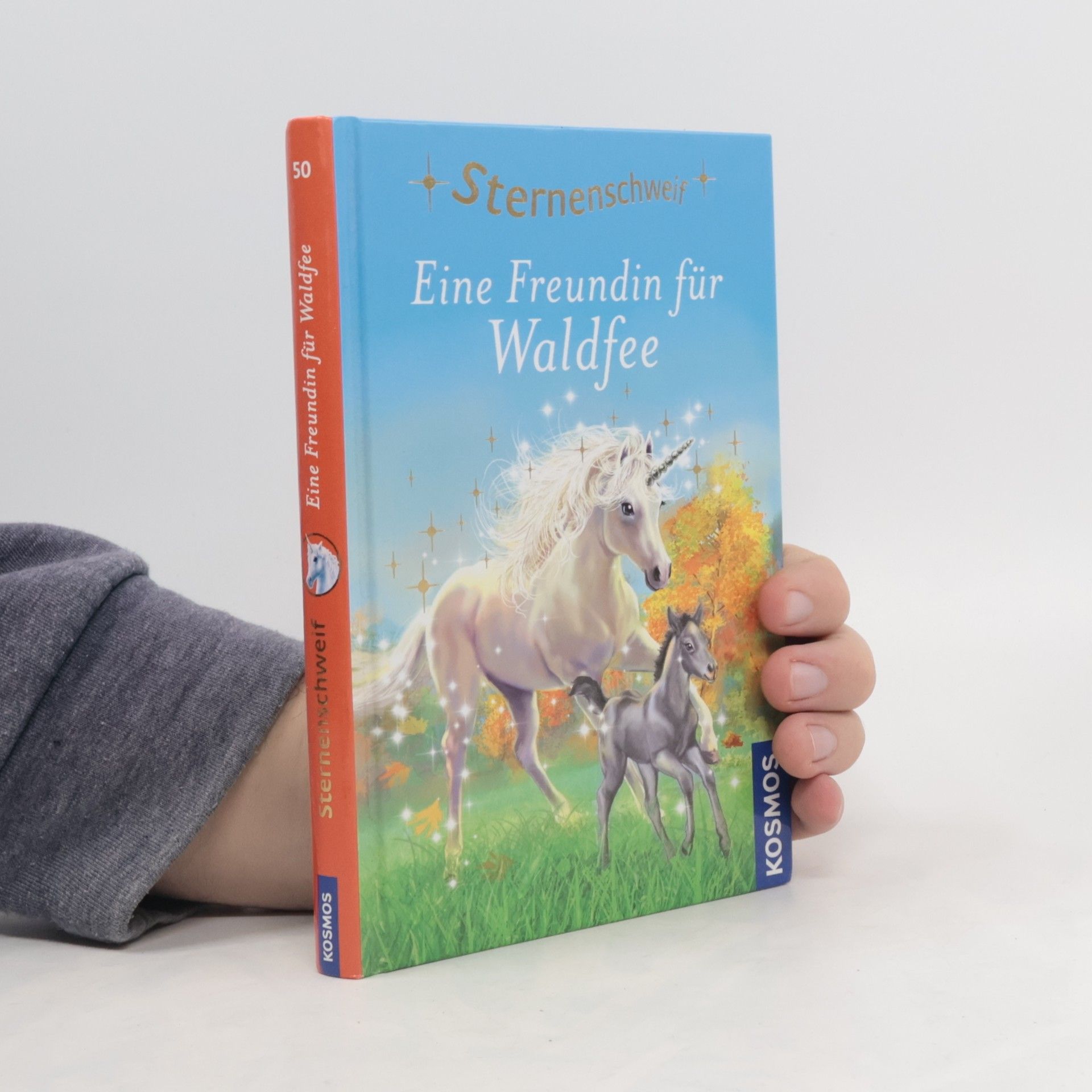 Linda Chapman Eine Freundin für Waldfee