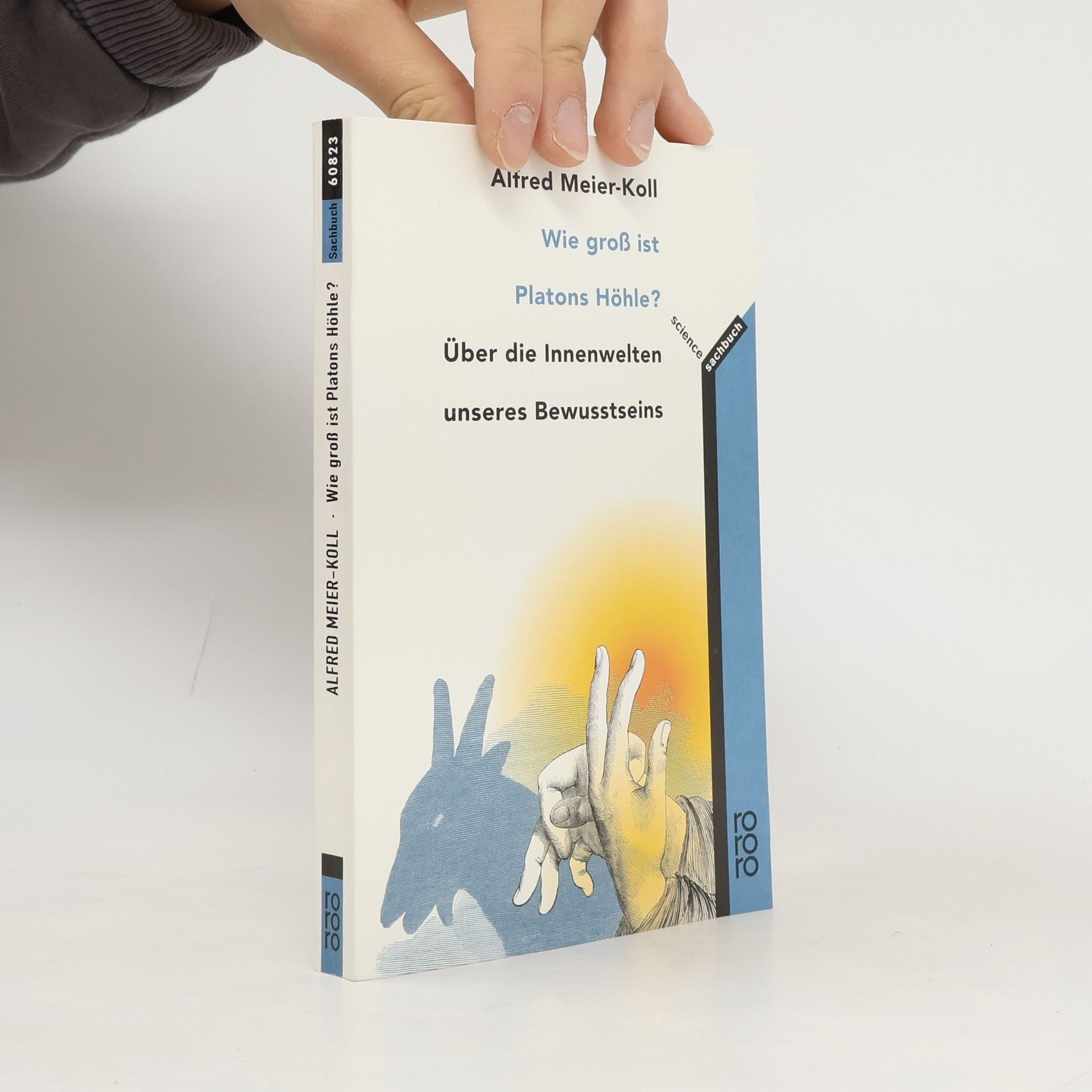 Alfred Meier Koll Wie groß ist Platons Höhle?