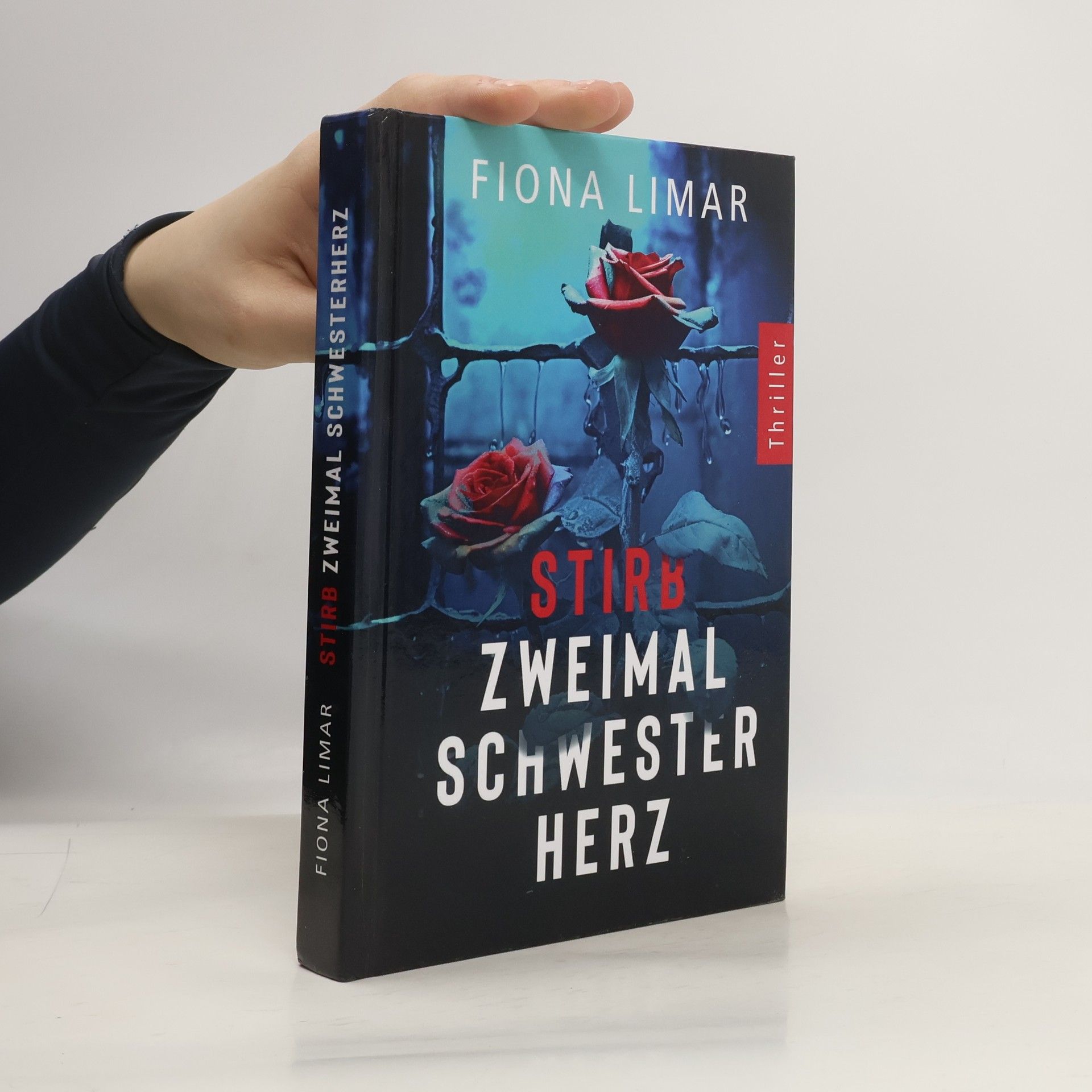 Psychiatrie-Thriller - 1: Stirb zweimal, Schwesterherz