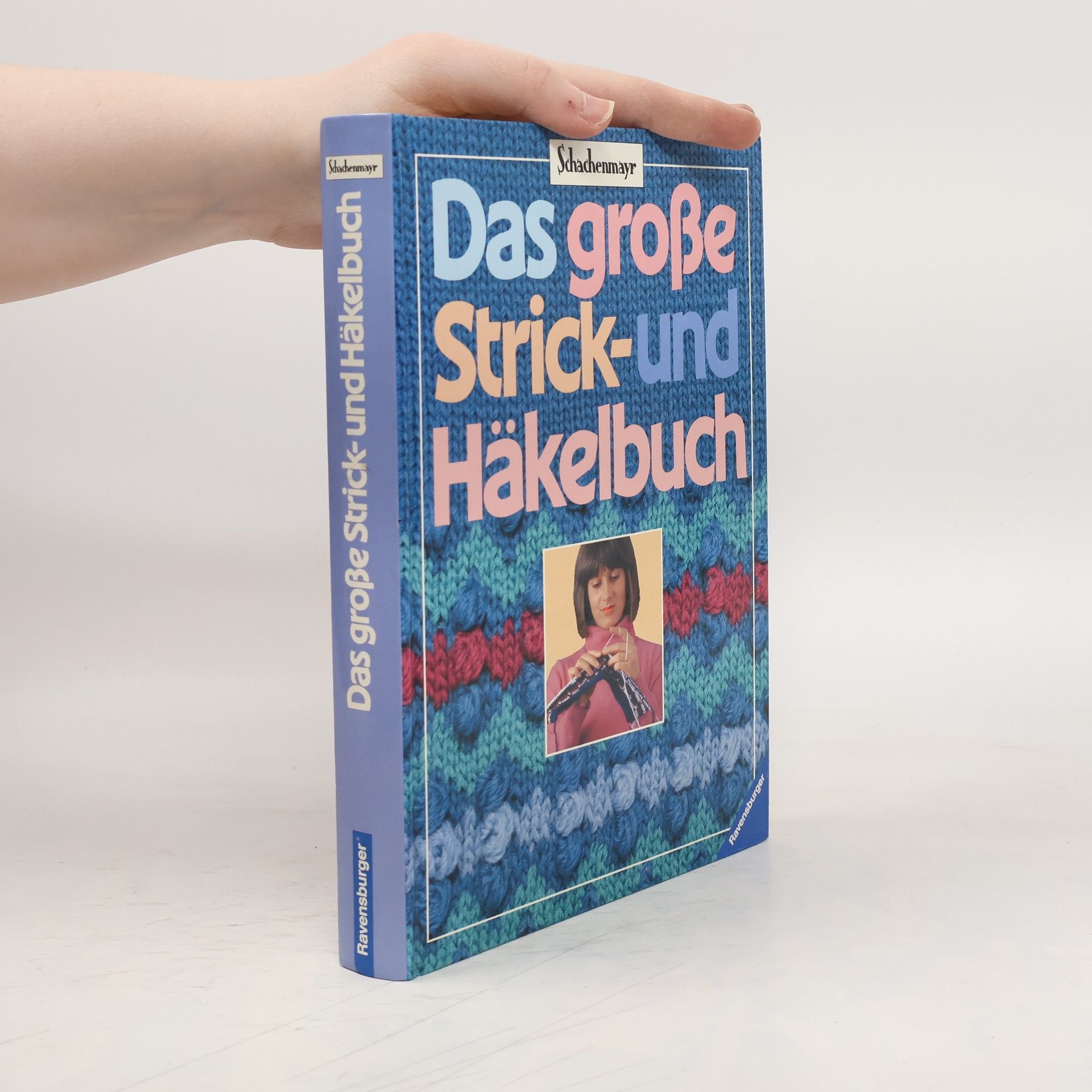 Jena Vejvoda Das grosse Strick- und Häkelbuch
