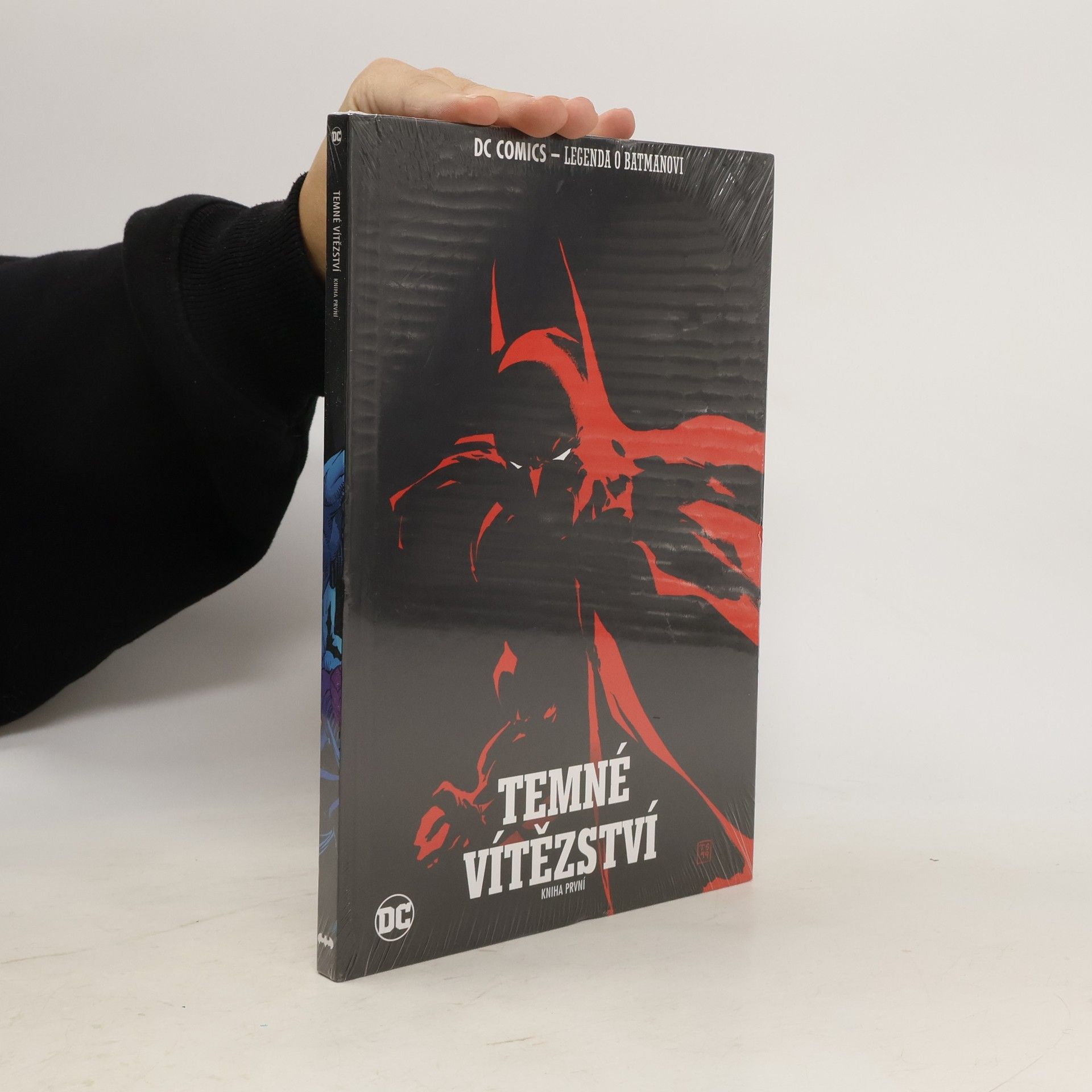 Kolektiv autorů Temné vítězství