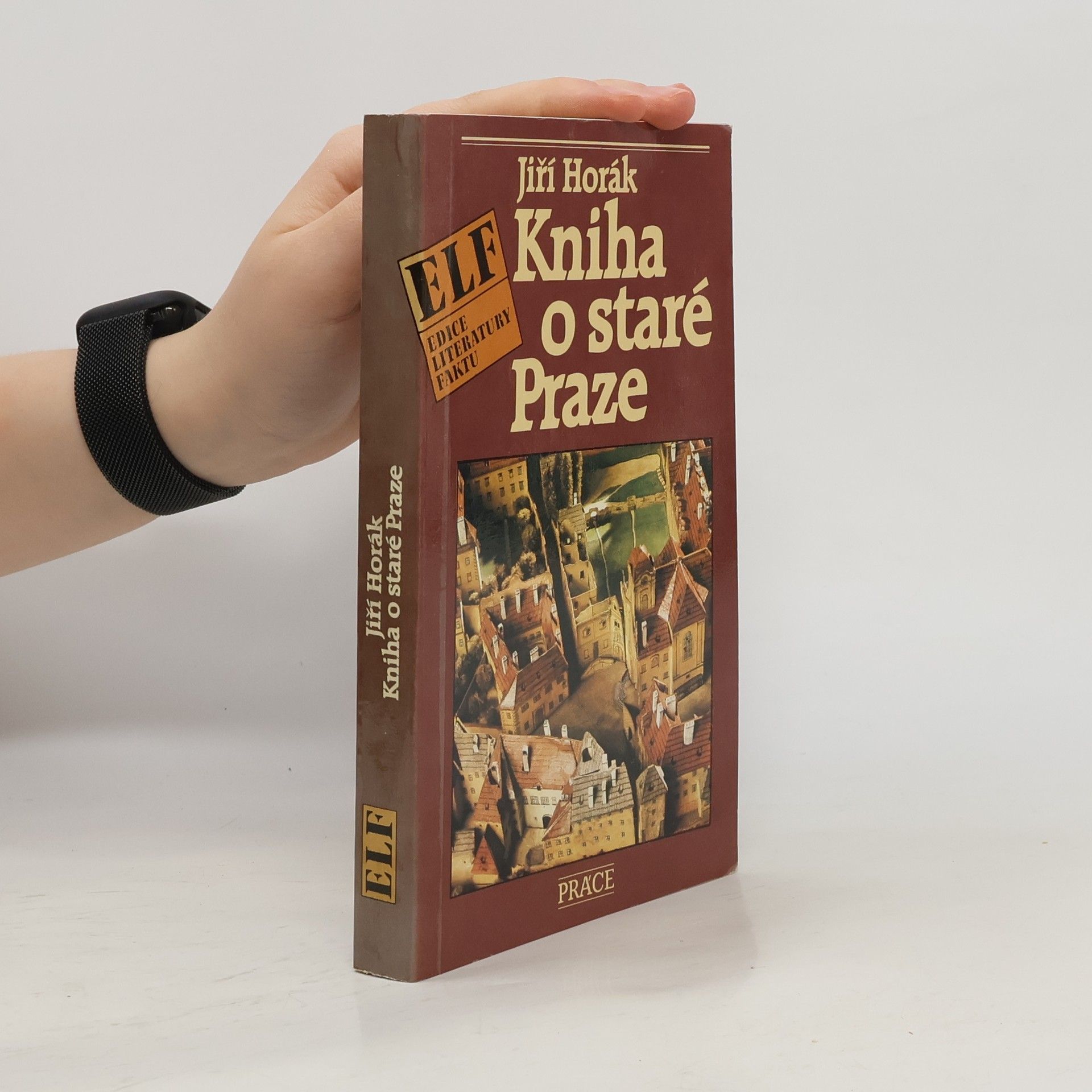 Kniha o staré Praze