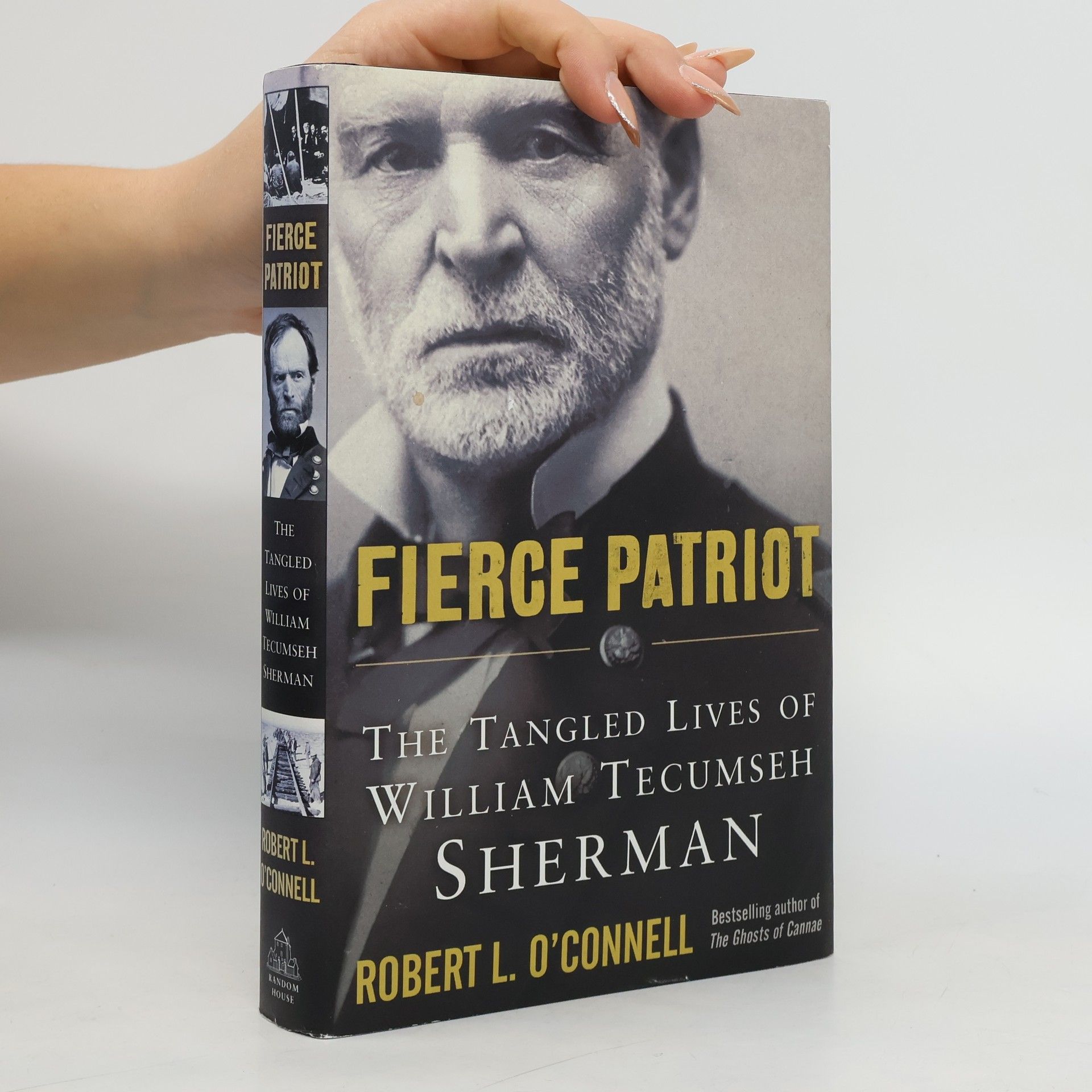 Robert L. O'Connell Fierce Patriot