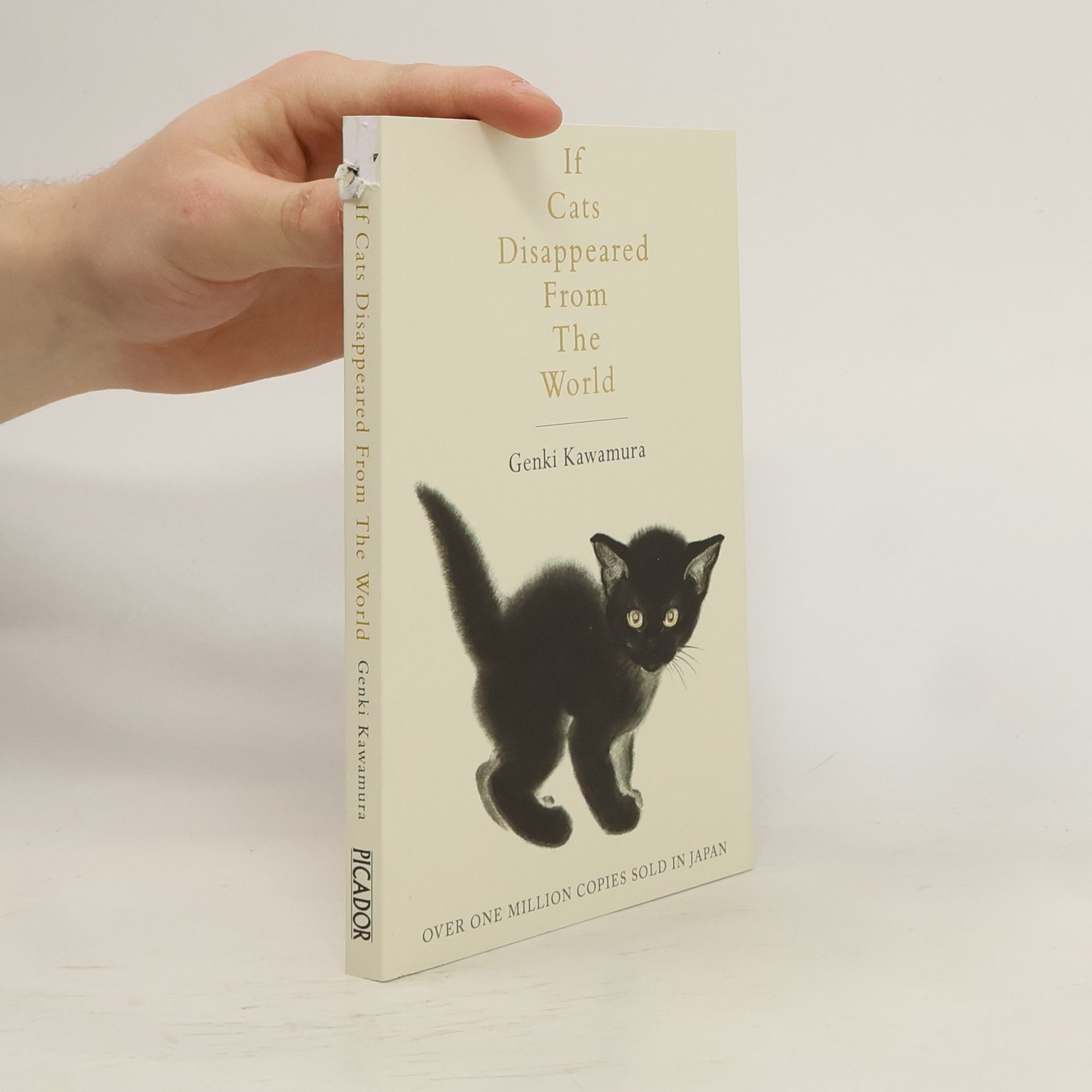 Genki Kawamura If Cats Disappeared from the World