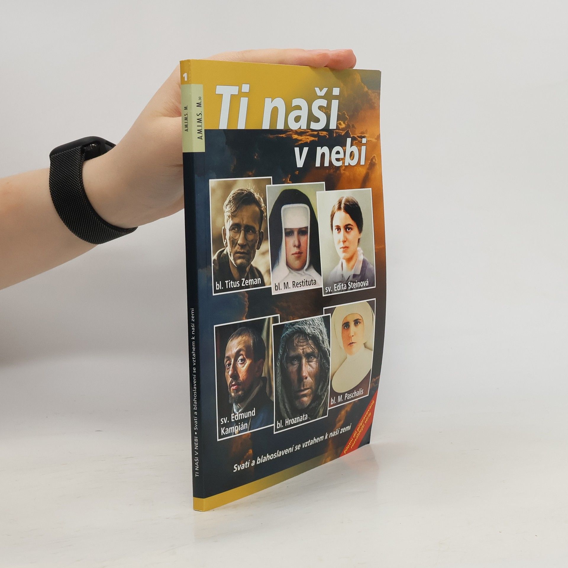 Auteurscollectief Ti naši v nebi