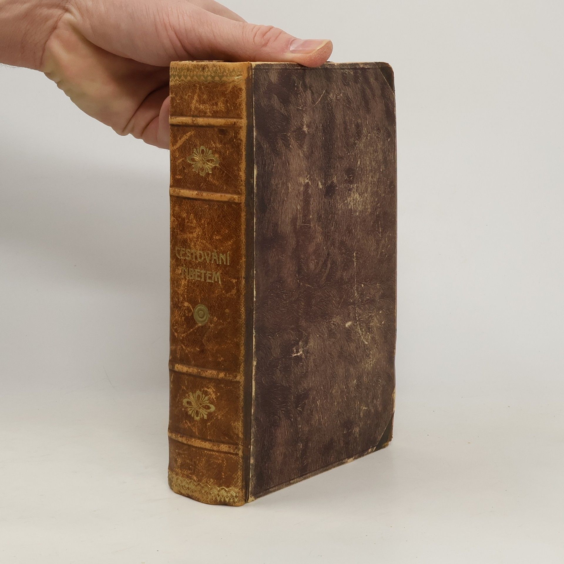 Kolektív autorov Cestování Tibetem