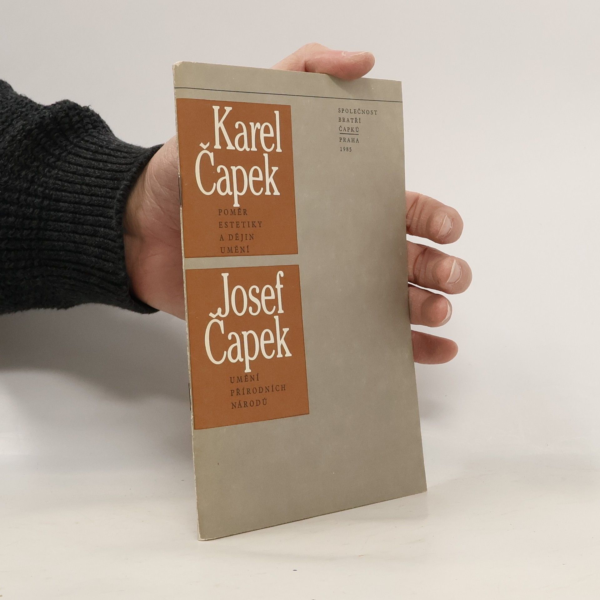 Karel Čapek Poměr estetiky a dějin umění