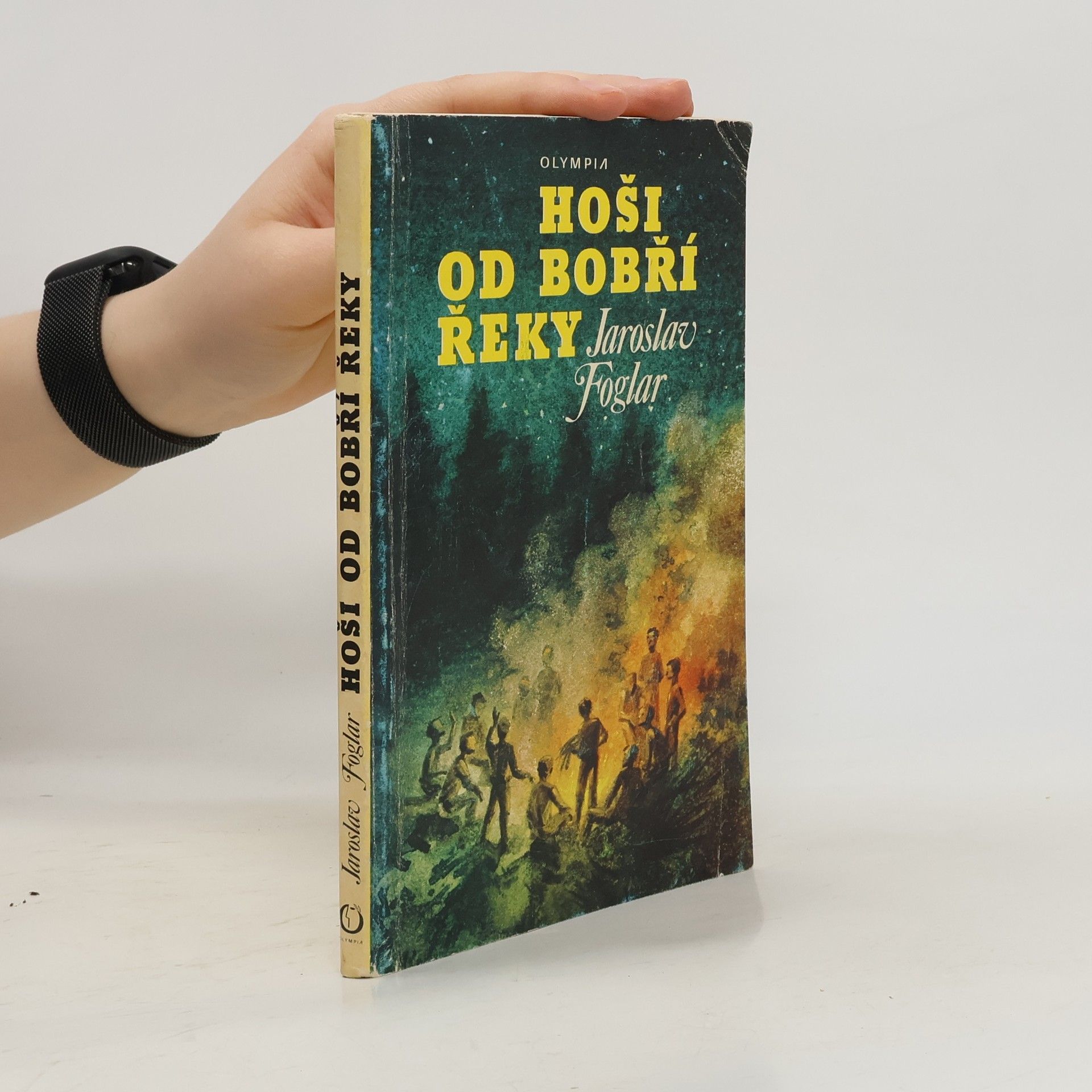 Jaroslav Foglar Hoši od Bobří řeky