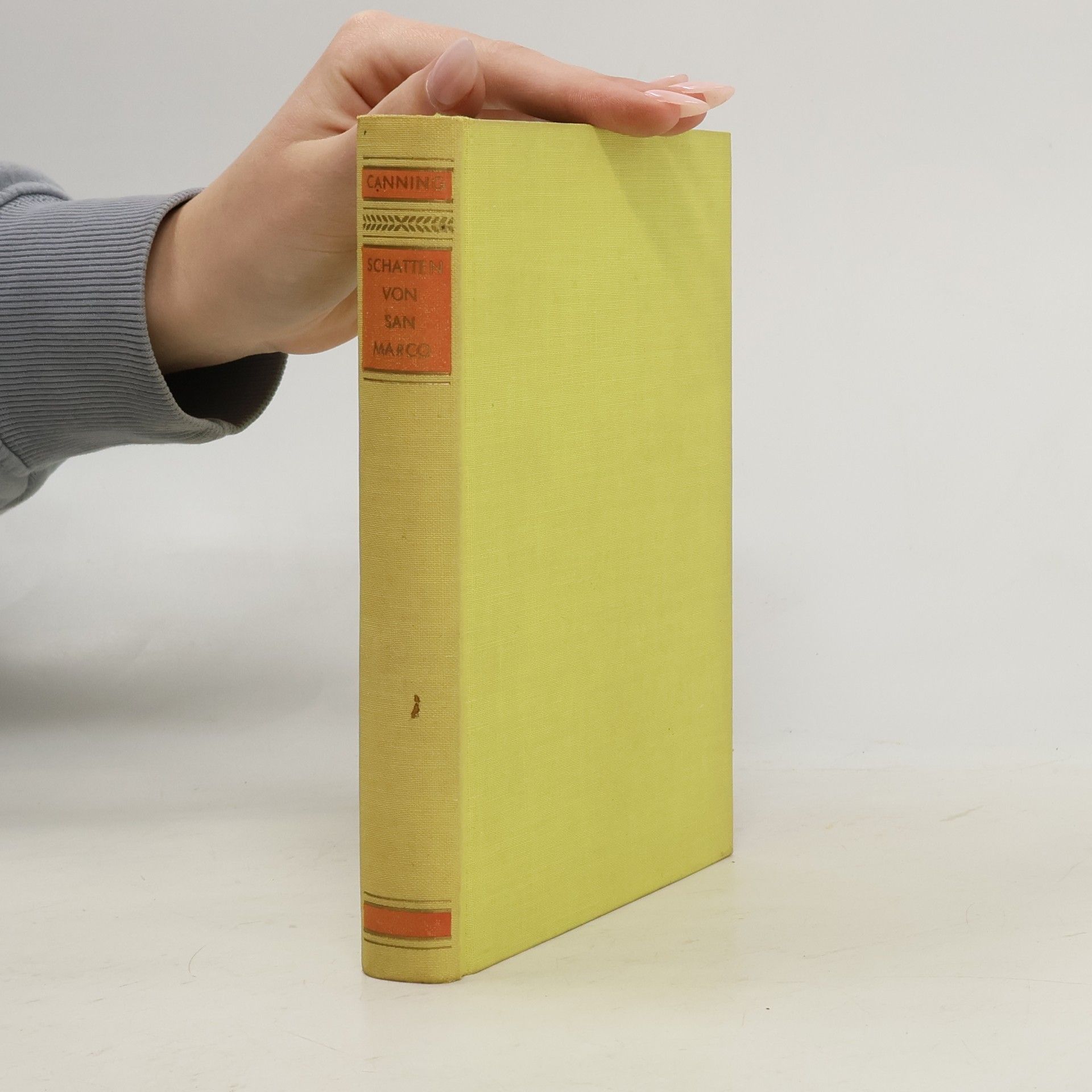 Im Schatten von San Marco