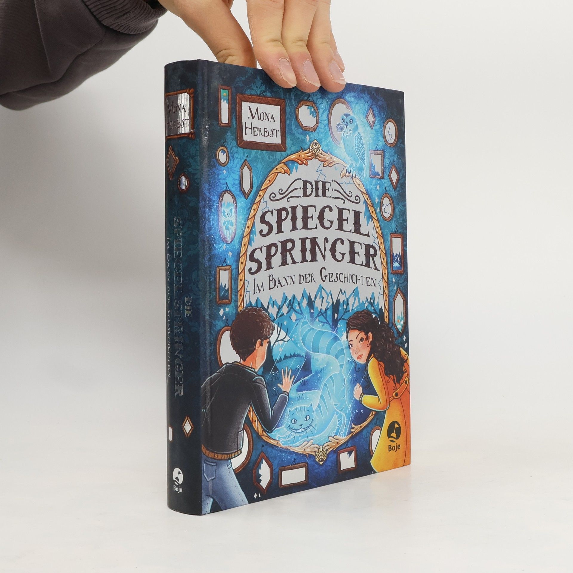 Mona Herbst Die Spiegelspringer