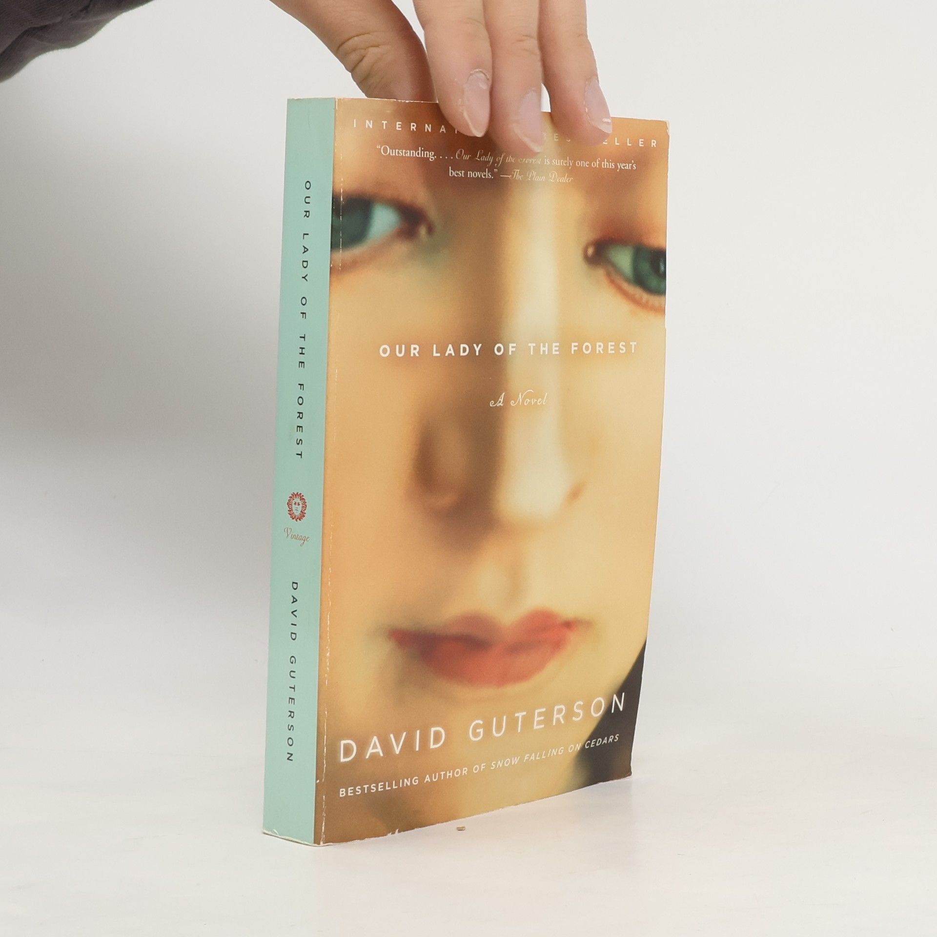 David Guterson Our Lady Of The Forest