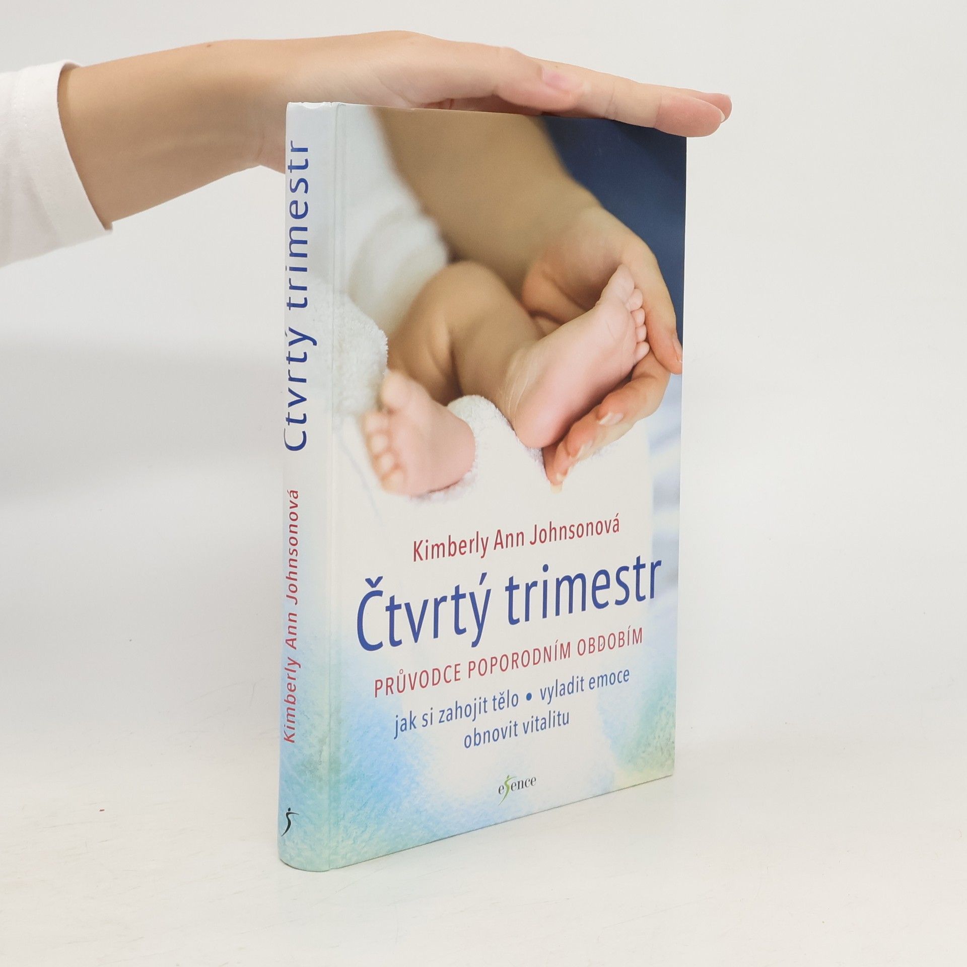 Kimberly Ann Johnson Čtvrtý trimestr: Průvodce poporodním obdobím