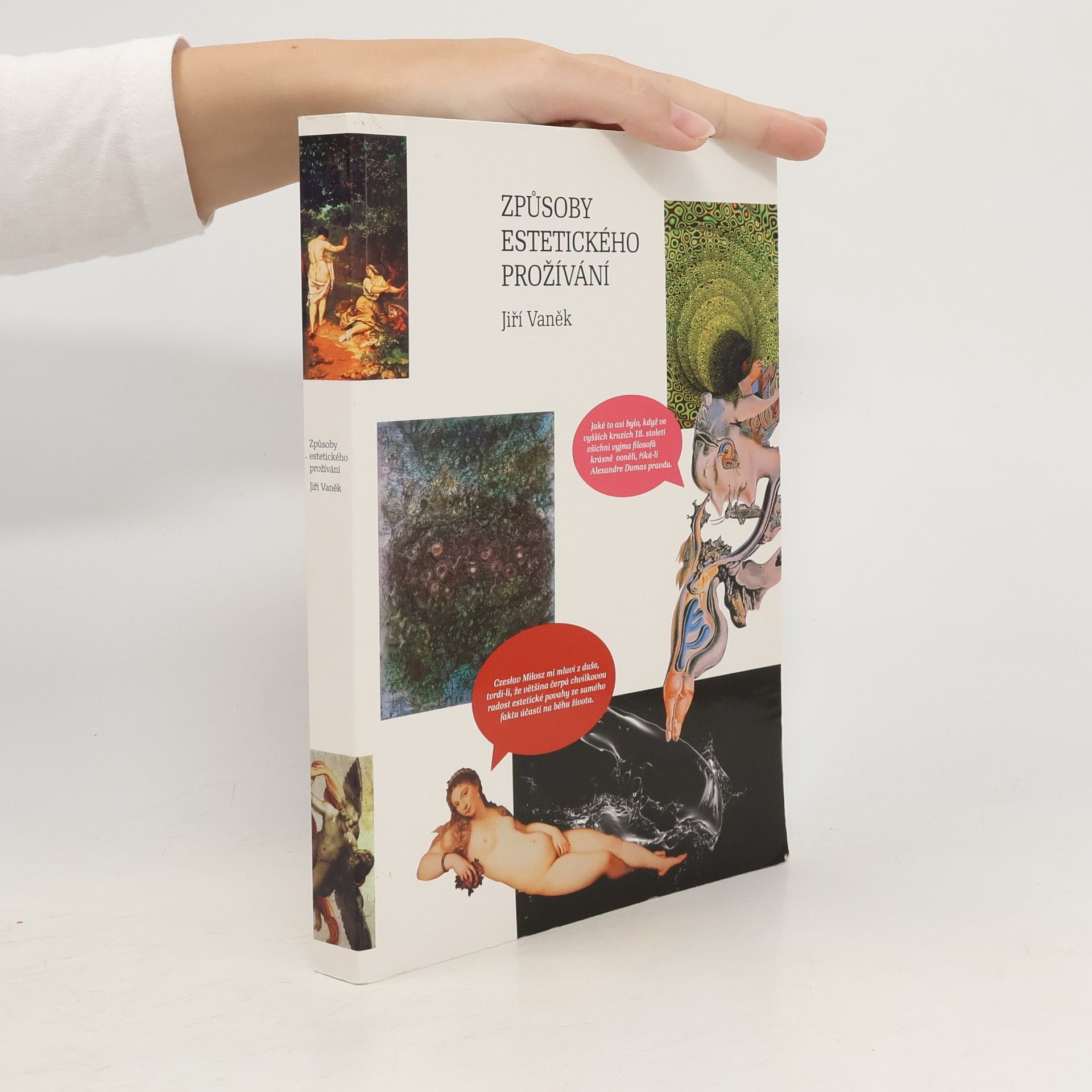 Způsoby estetického prožívání