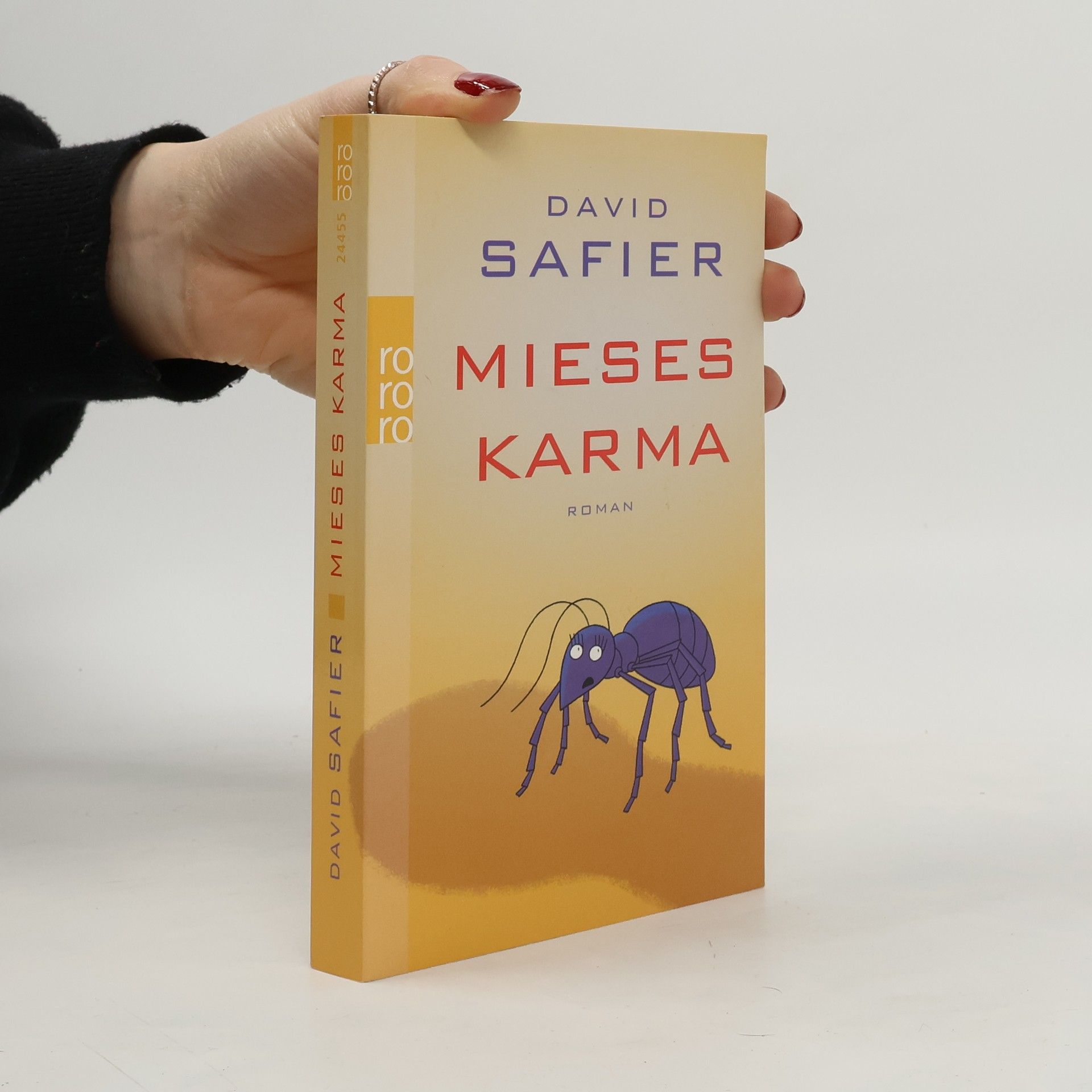 David Safier Mieses Karma