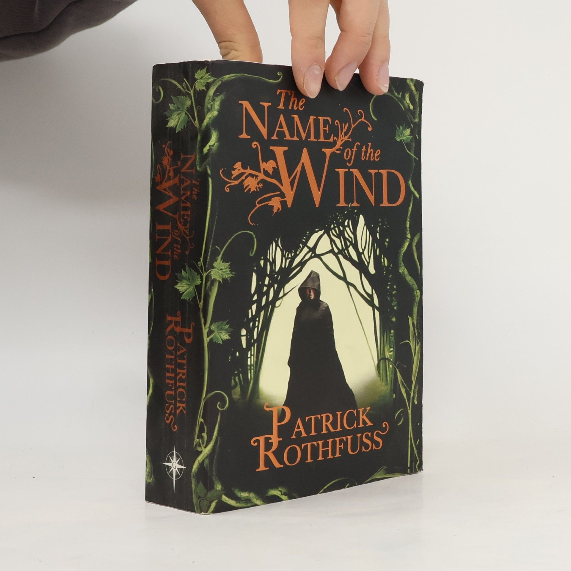 The Name of the Wind