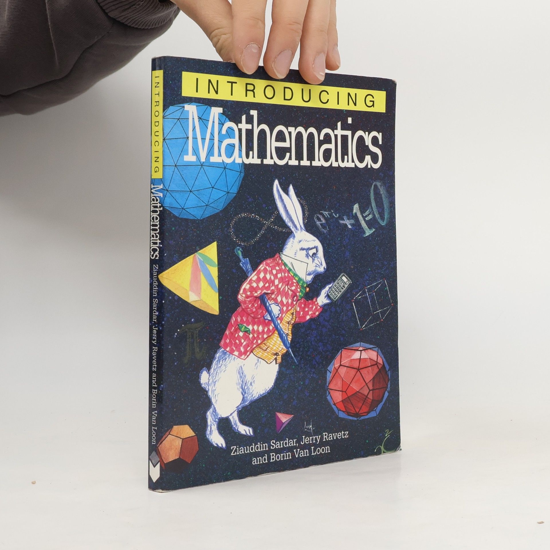 Ziauddin Sardar Introducing Mathematics