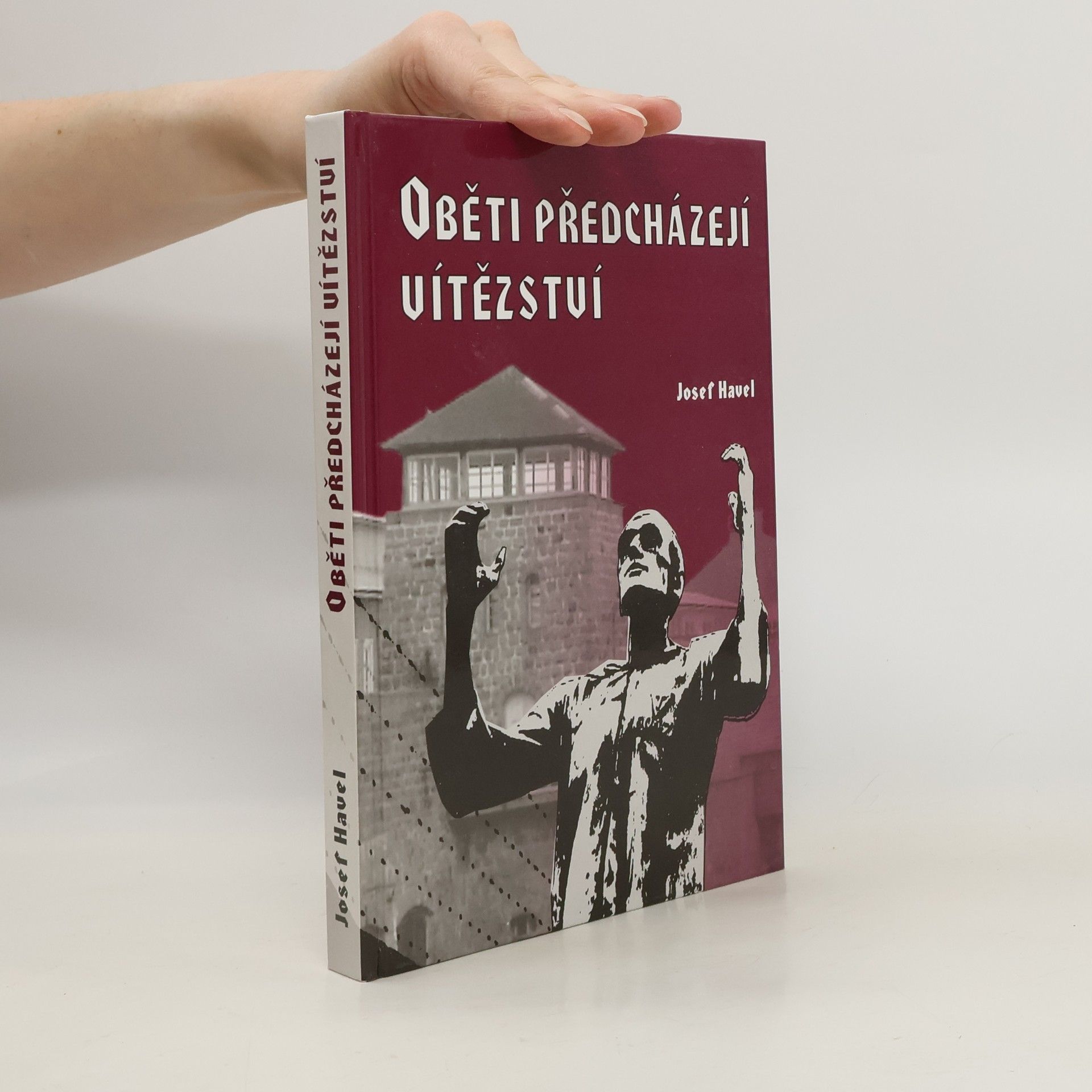 Oběti předcházejí vítězství