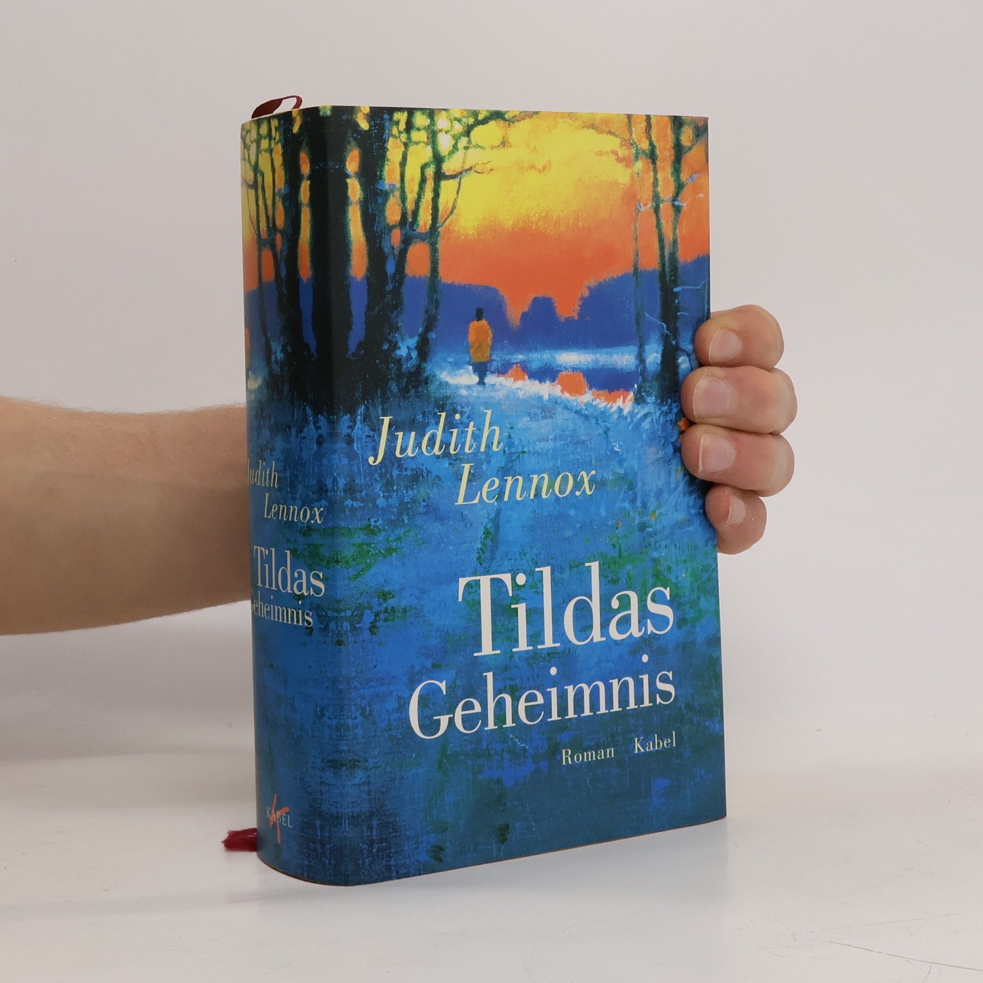 Judith Lennox Tildas Geheimnis