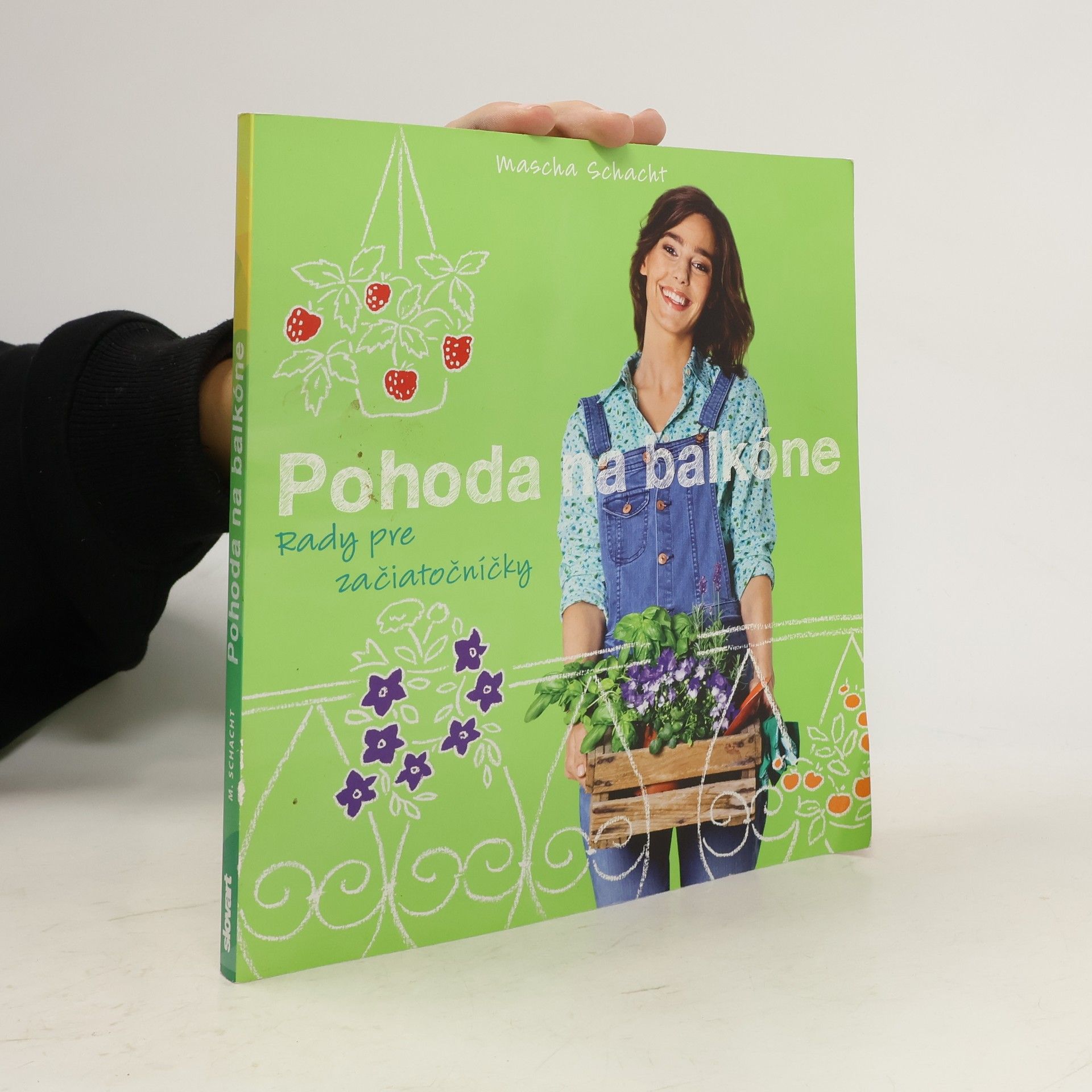 Mascha Schacht Pohoda na balkóne - rady pre začiatočníčky