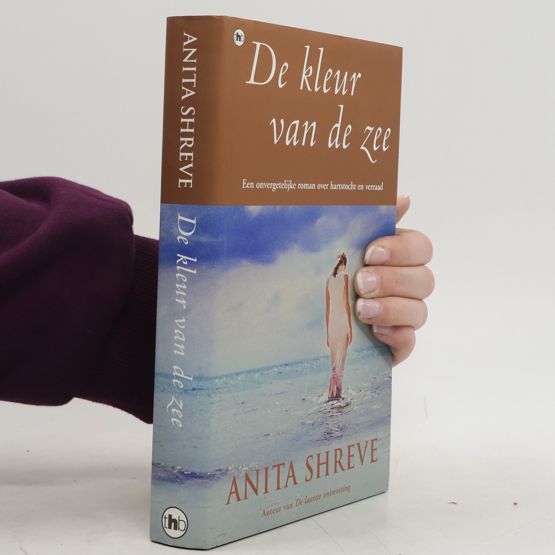 Anita Shreve De kleur van de zee