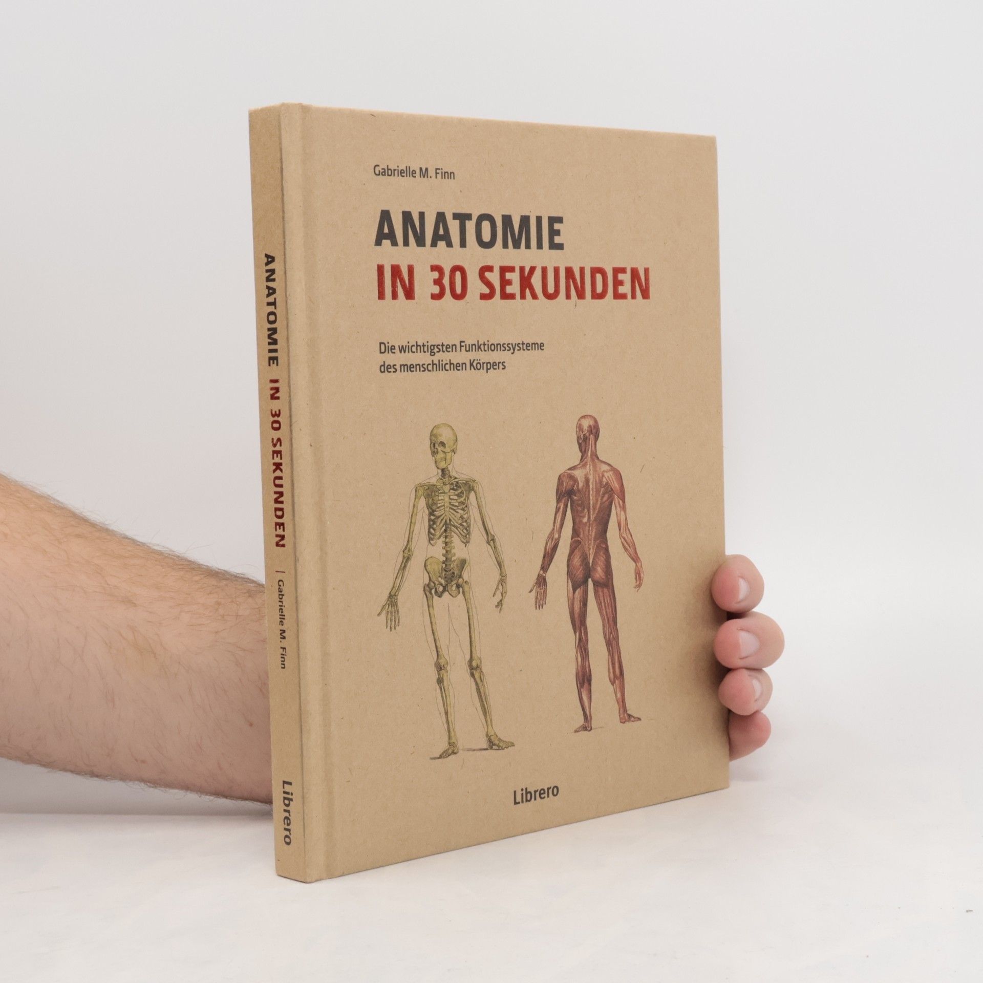 Gabrielle M. Finn Anatomie in 30 Sekunden