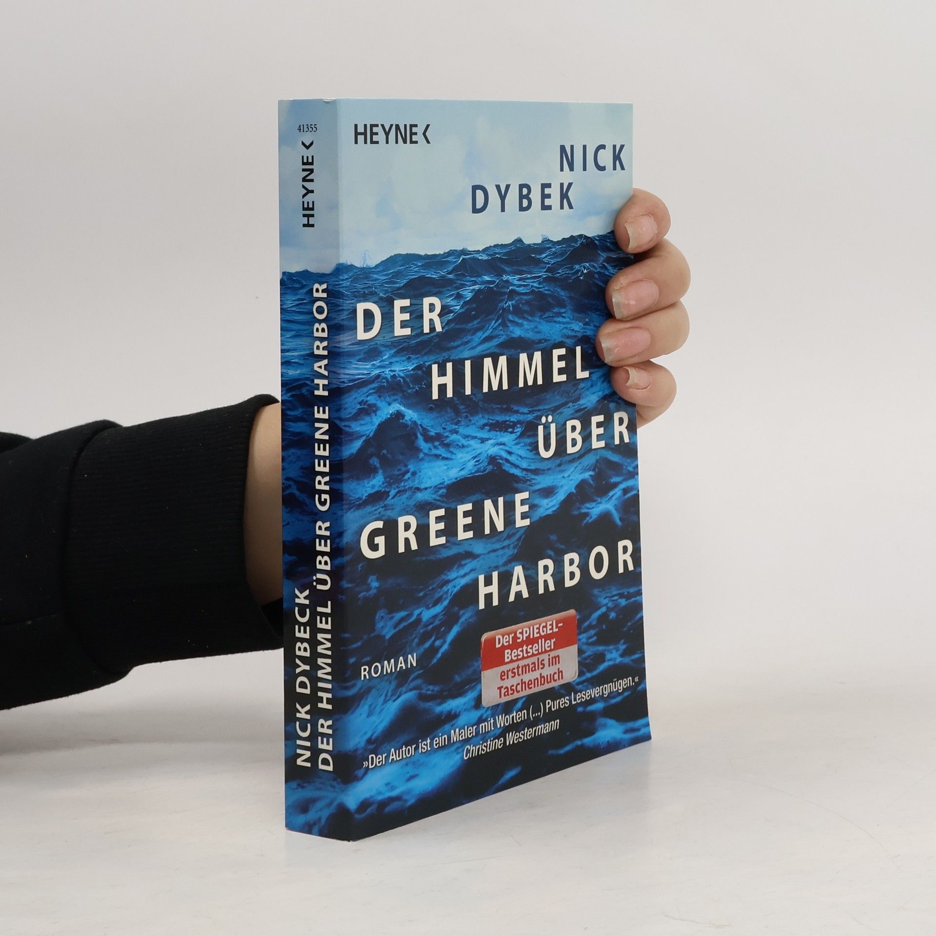 Nick Dybek Der Himmel über Greene Harbor