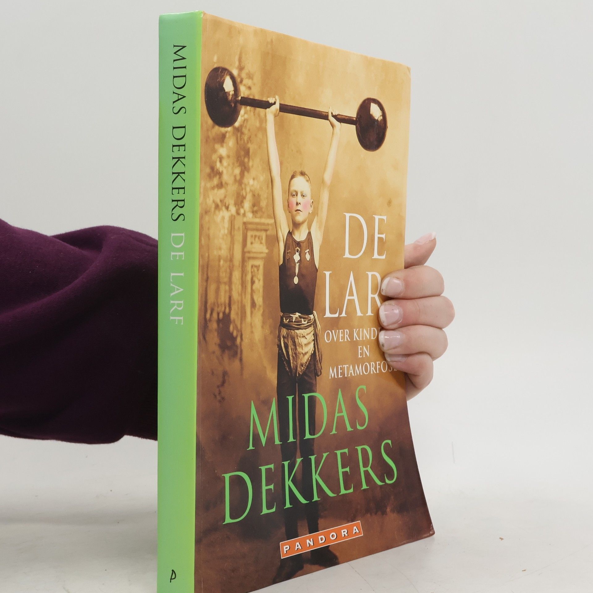 Midas Dekkers De larf