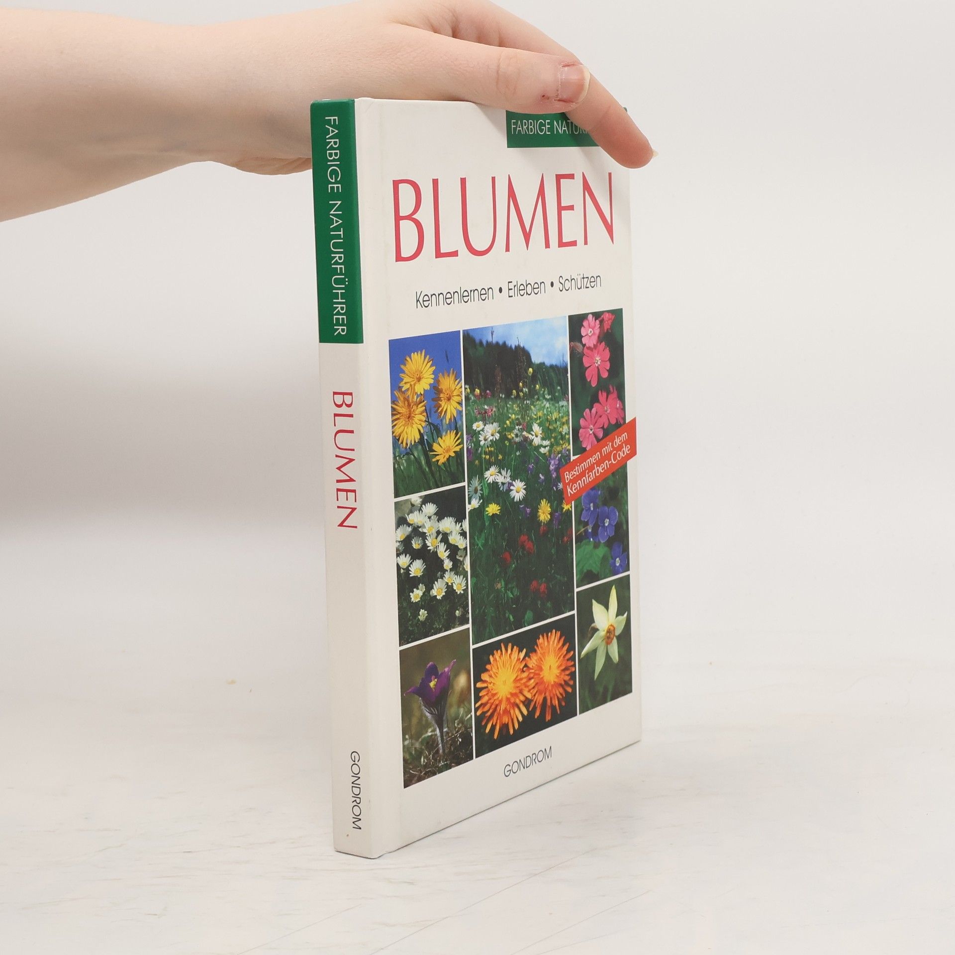 Bruno P. Kremer Blumen