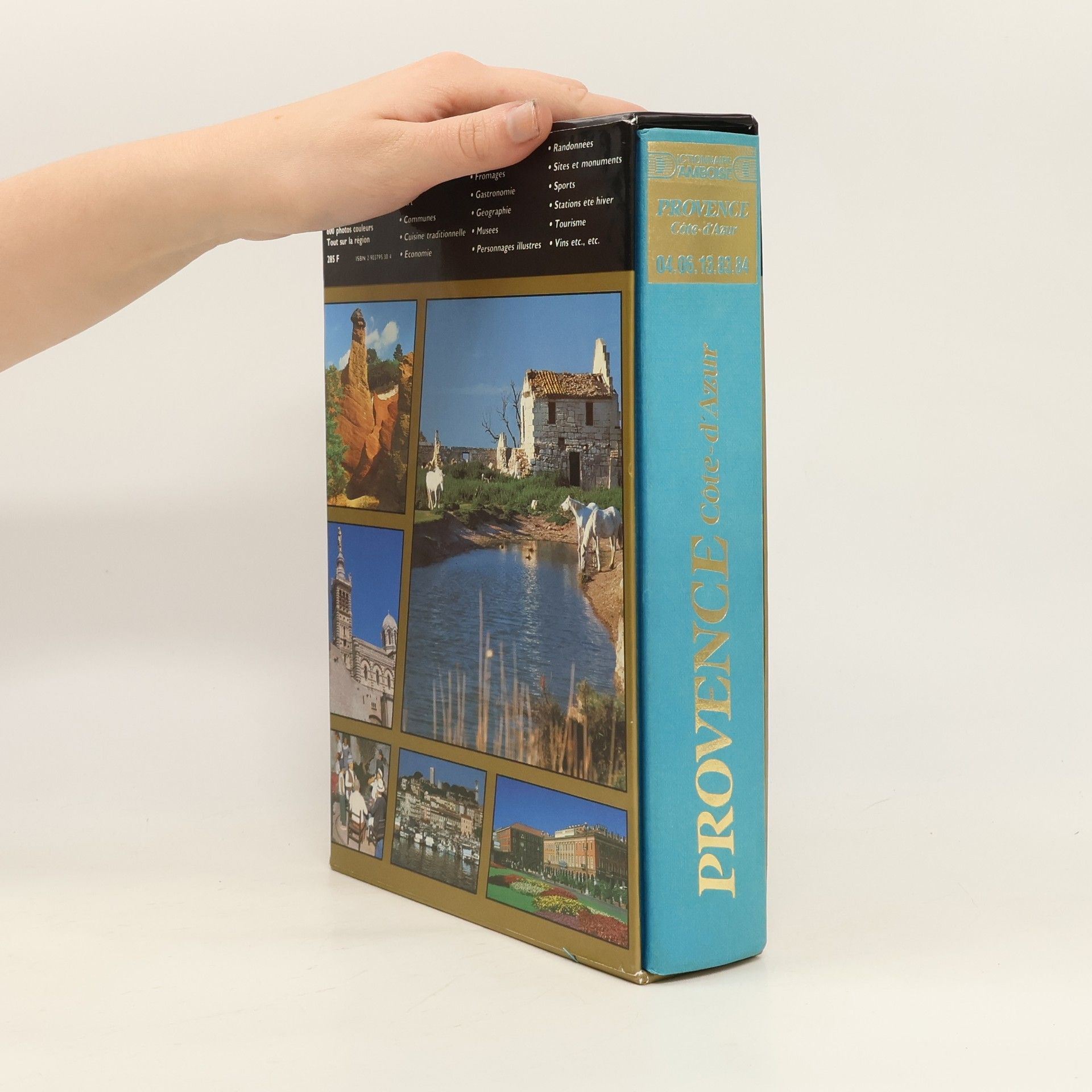 Valéry d' Amboise Dictionnaire d'Amboise Lyonnais