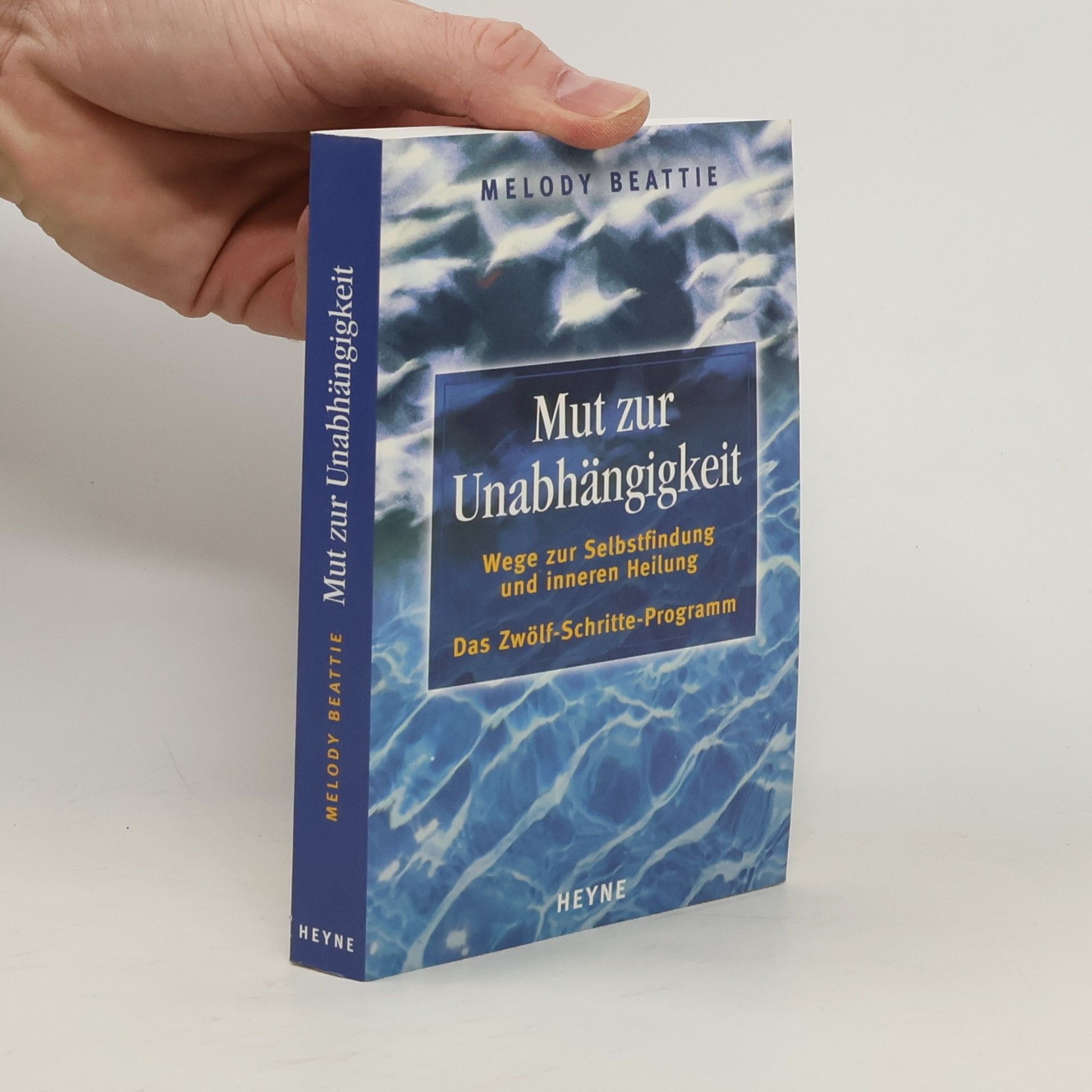 Melody Beattie Mut zur Unabhängigkeit