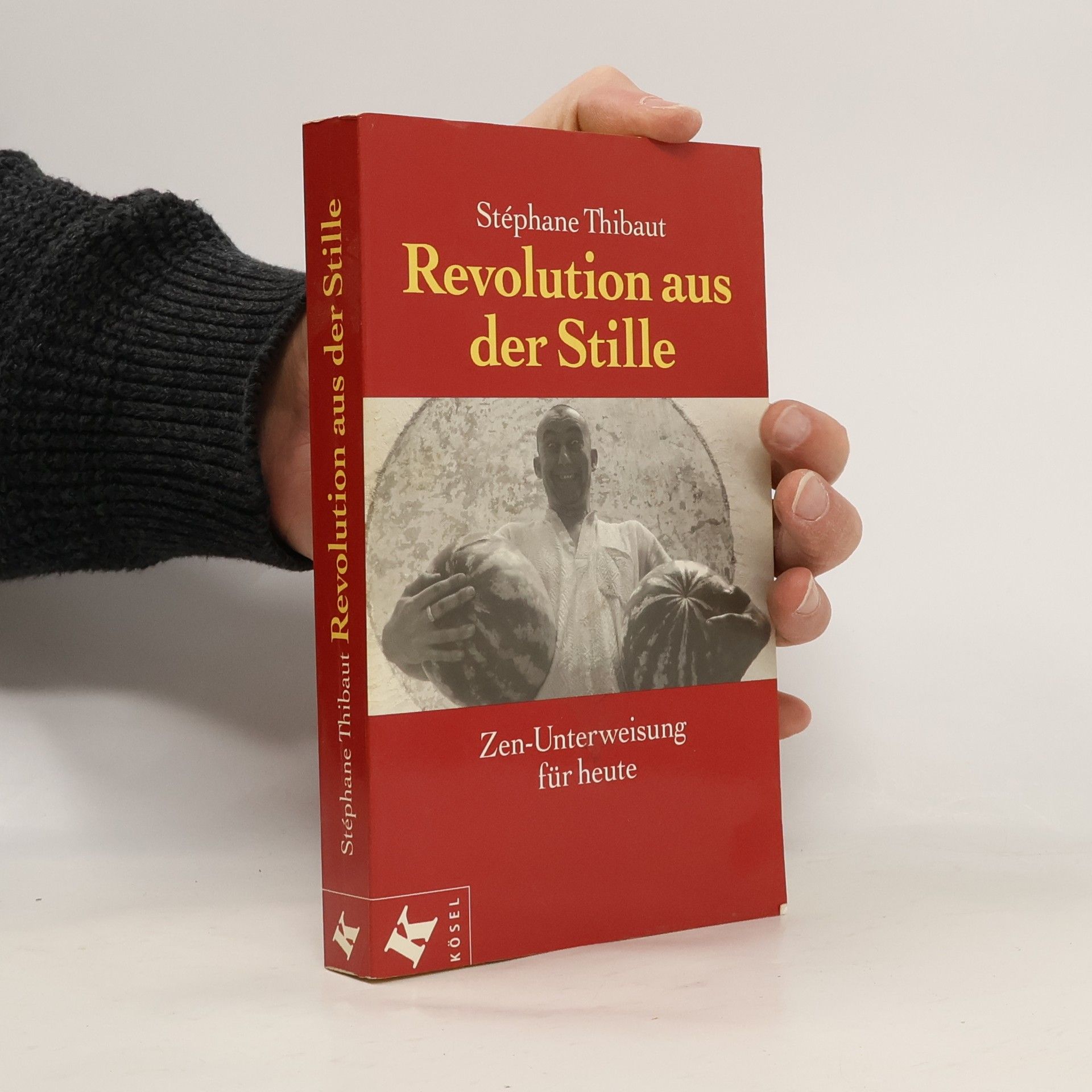 Stéphane Thibaut Revolution aus der Stille
