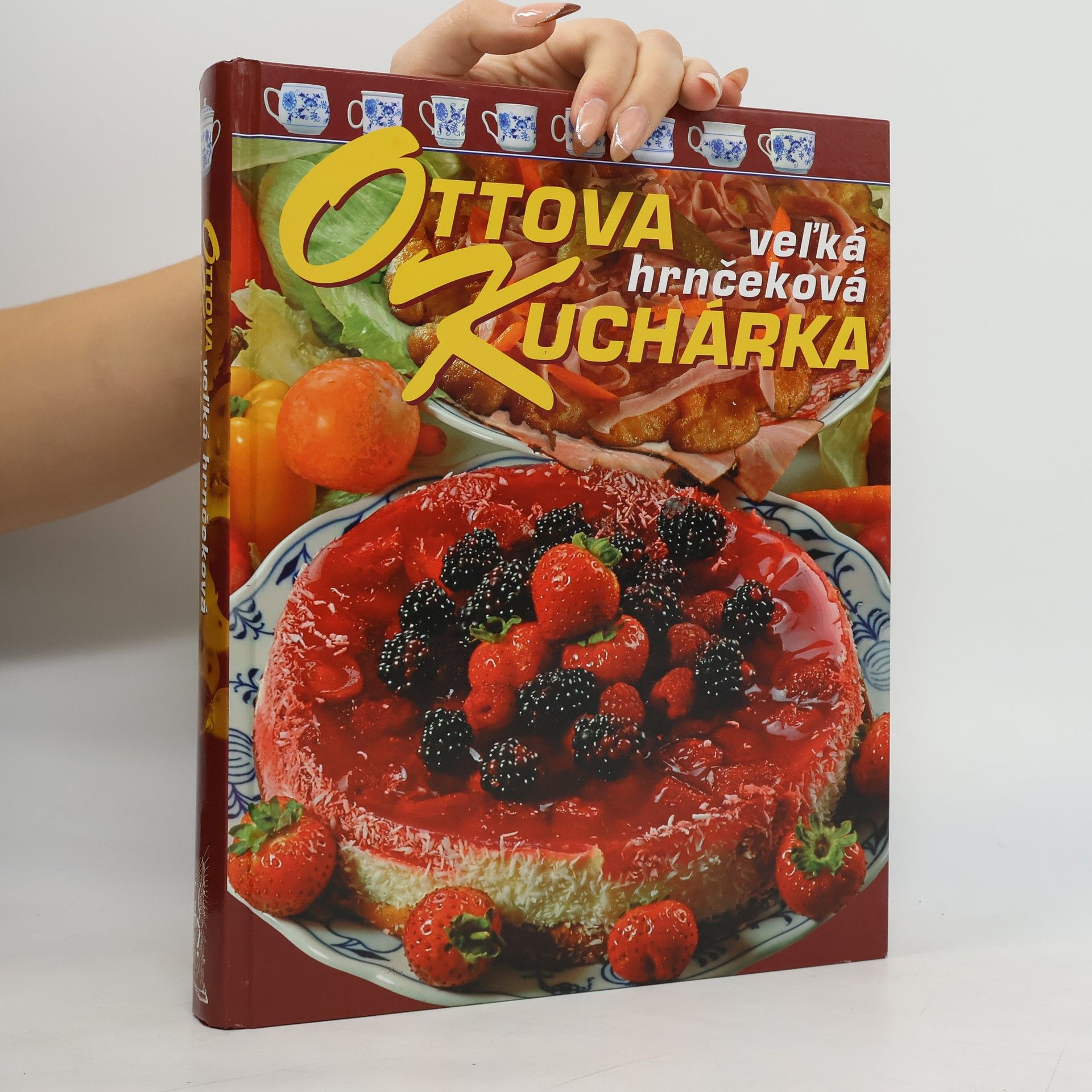 Jaroslav Vašák Ottova veĺká hrnčeková kuchárka