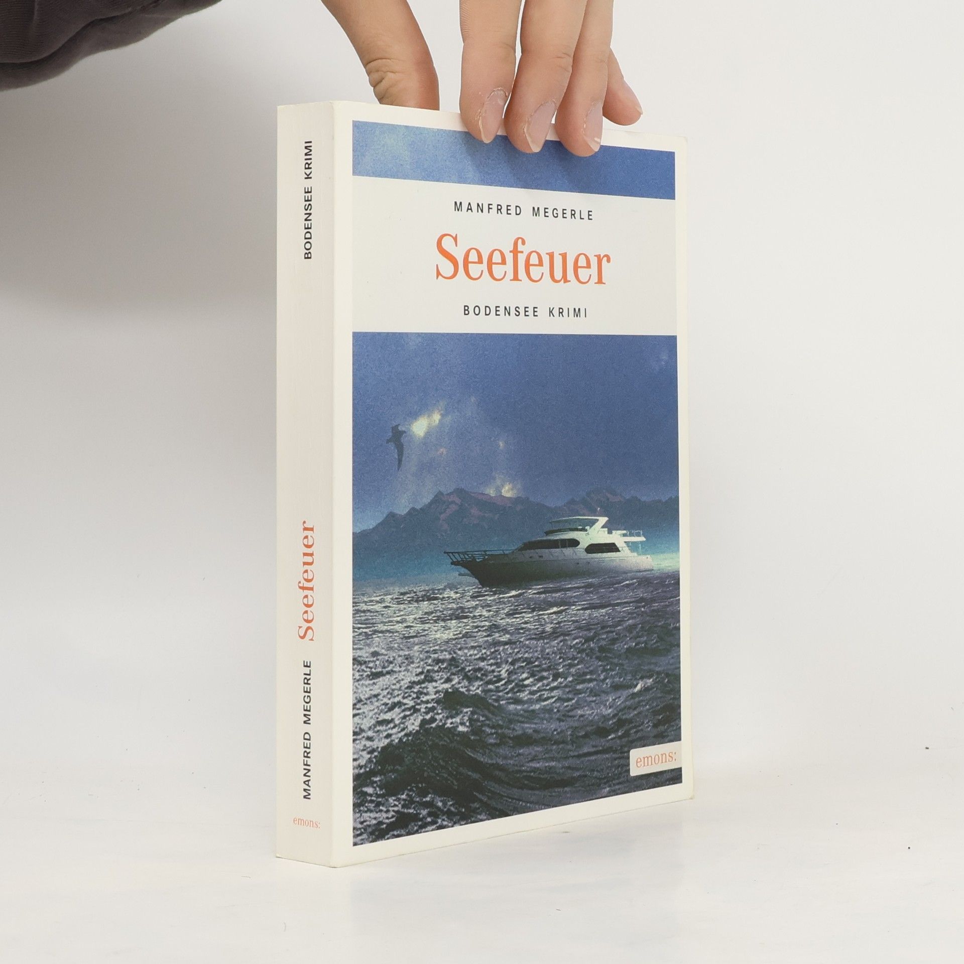 Manfred Megerle Seefeuer