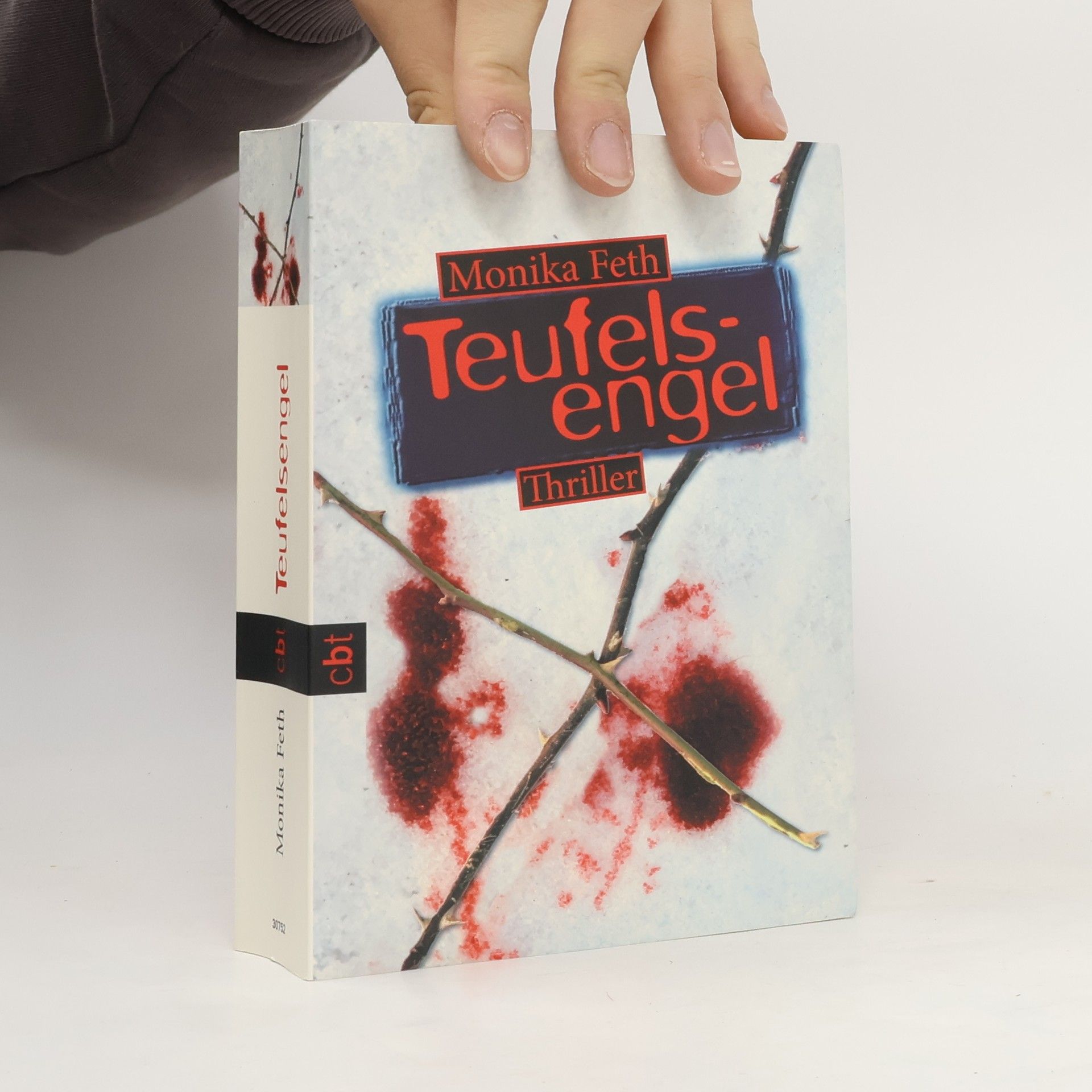 Monika Feth Teufelsengel